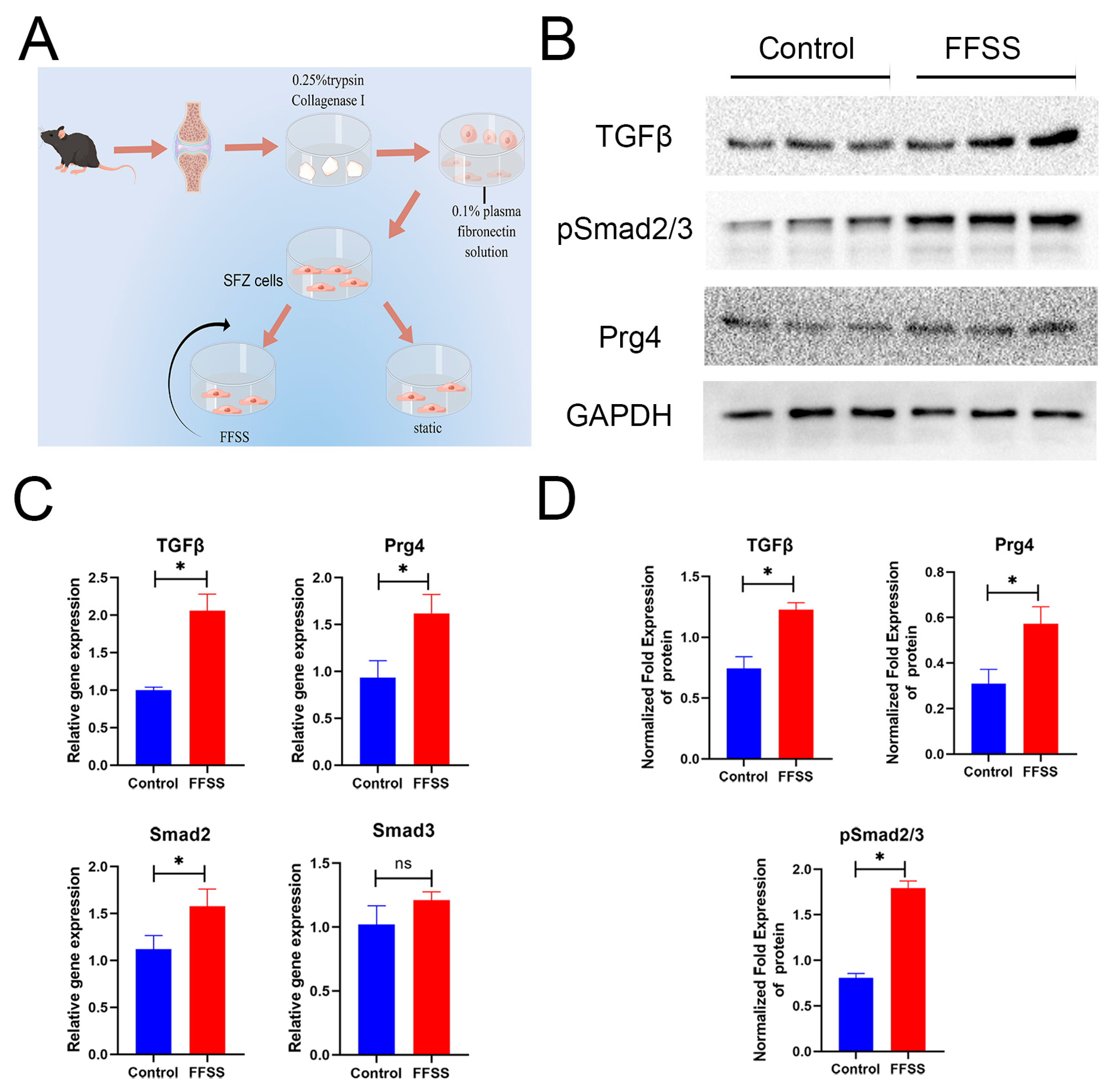 Diagnostics 13 03193 g006