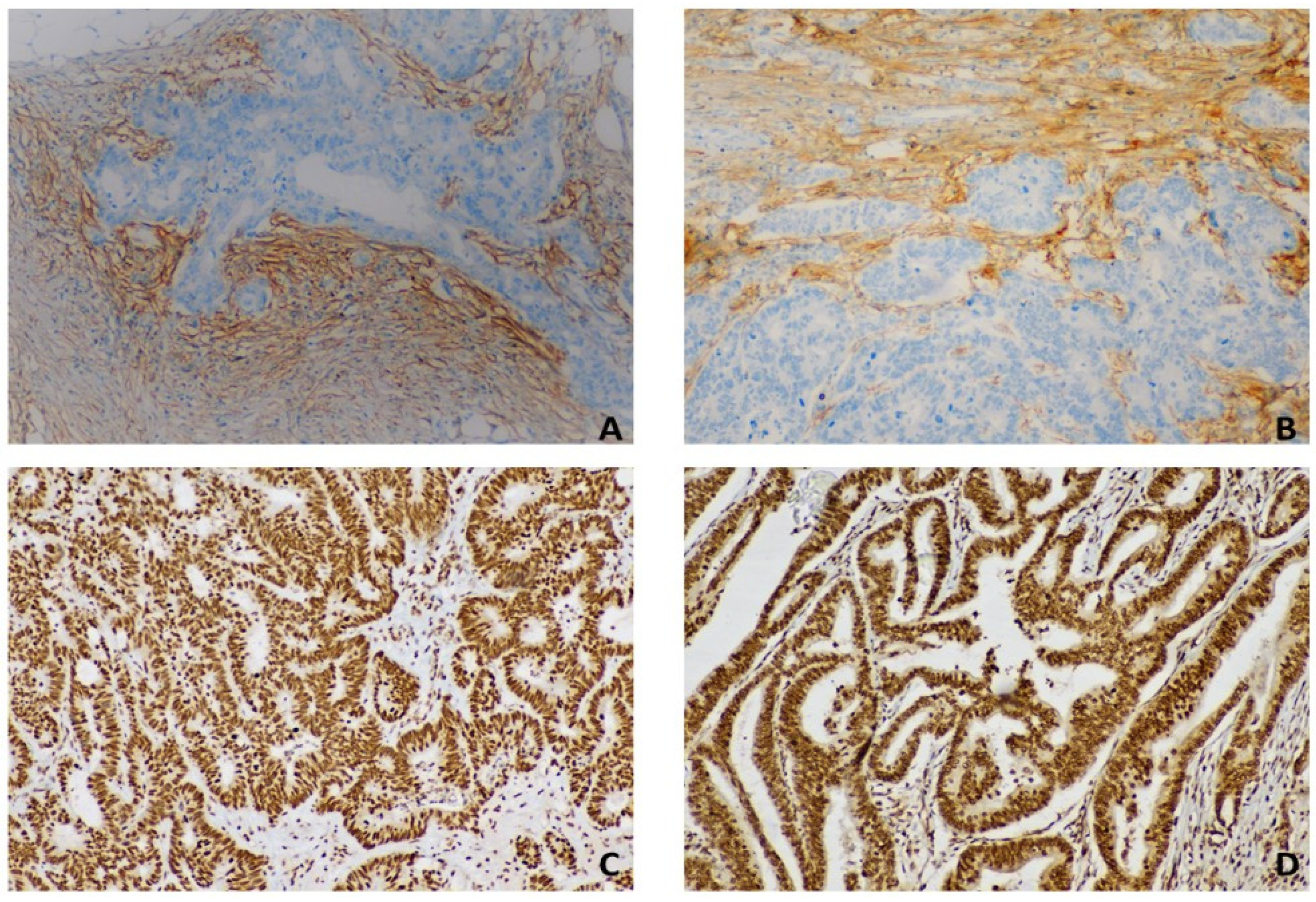 Diagnostics 13 03199 g002