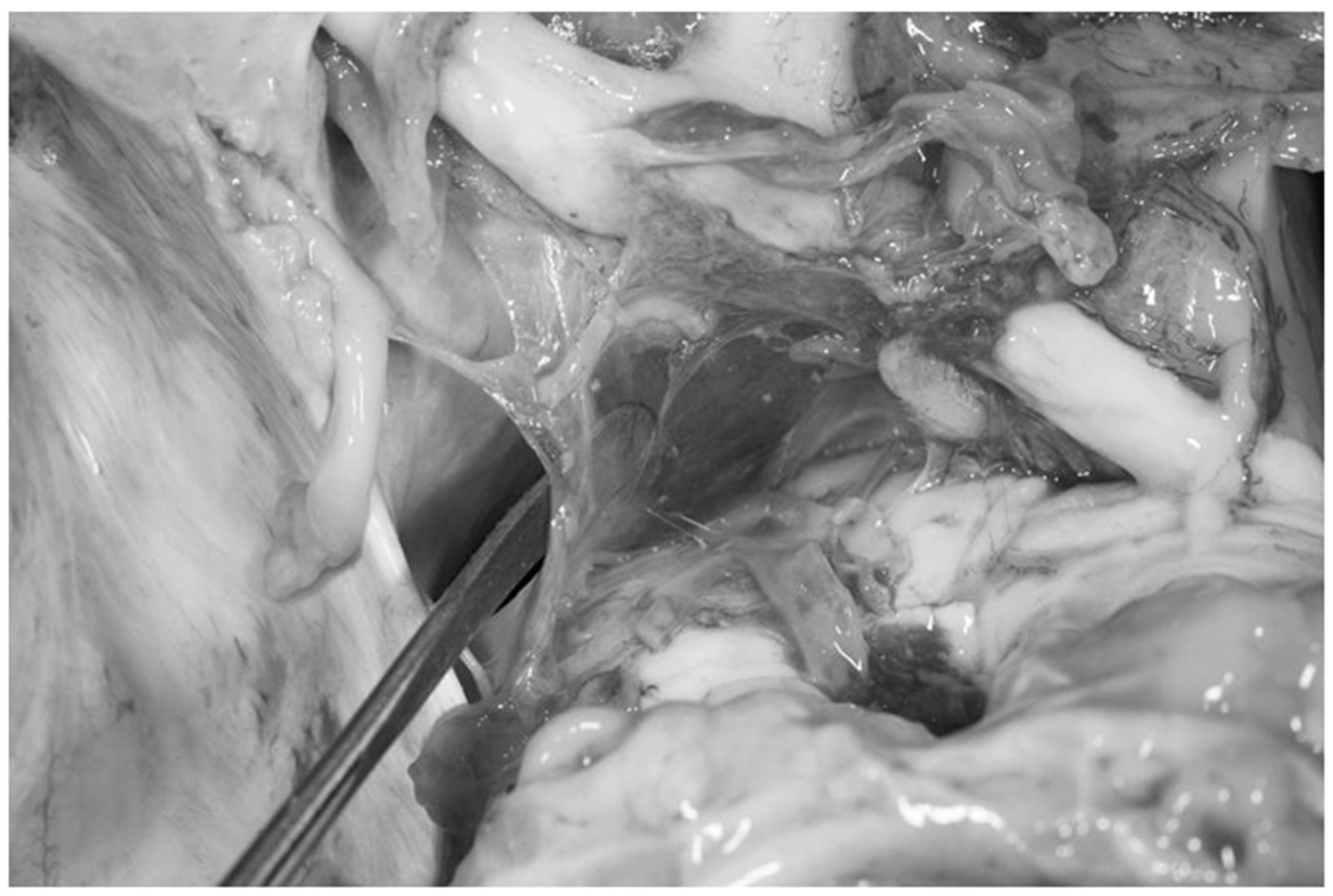 Diagnostics 13 03203 g010