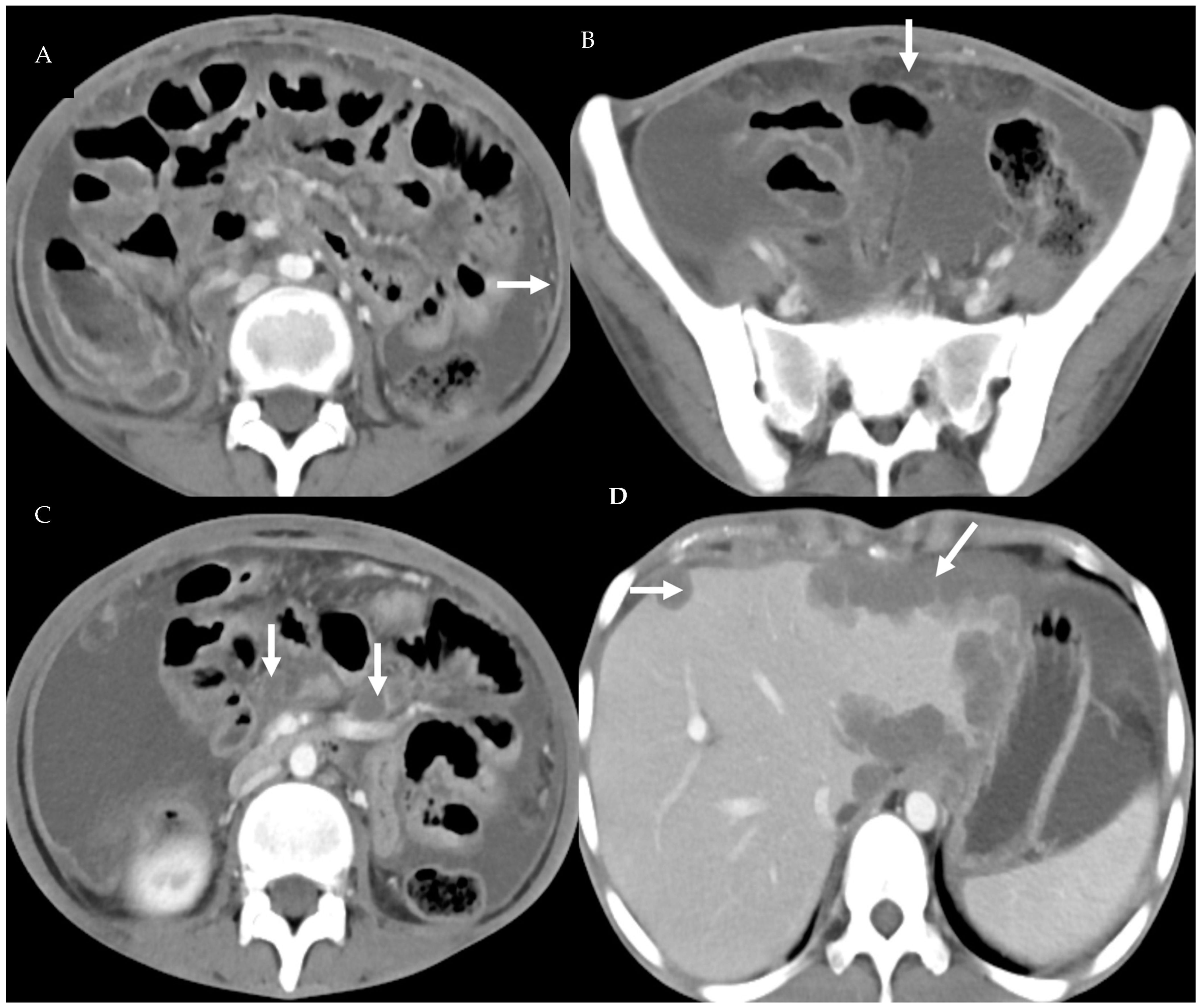 Diagnostics 13 03206 g003 Diagnostics 13 03206 g003