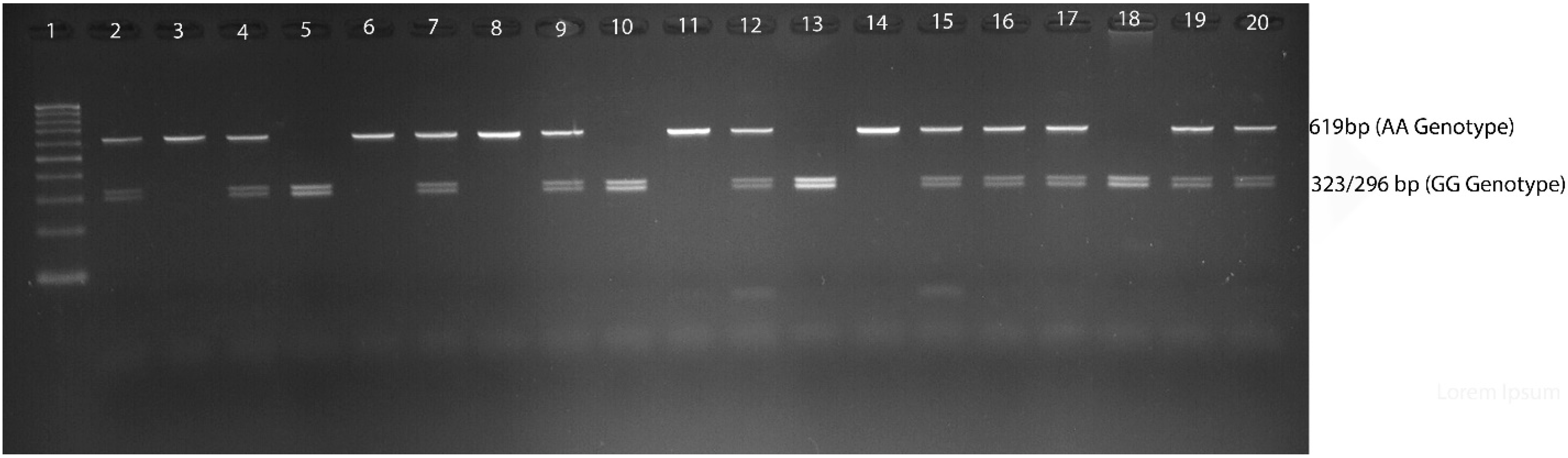 Diagnostics 13 03214 g001