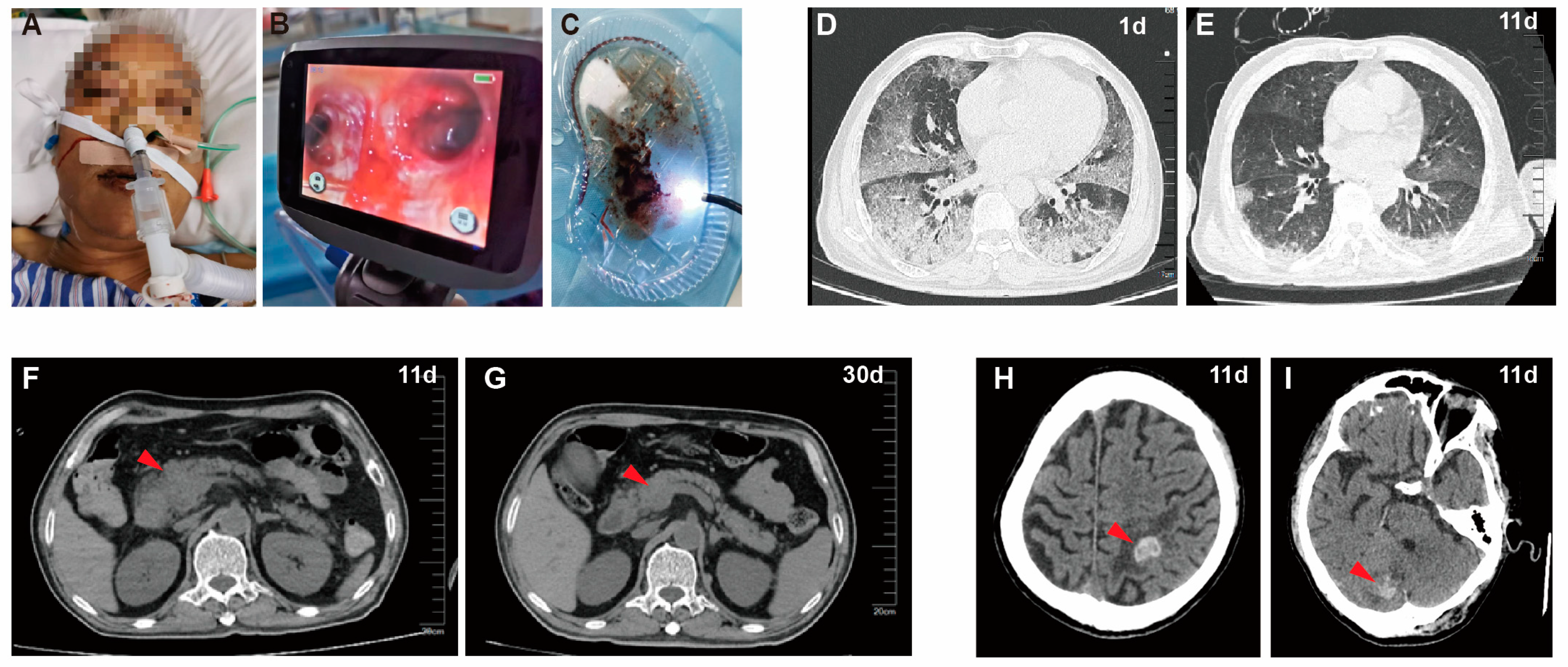 Diagnostics 13 03218 g001 Diagnostics 13 03218 g001