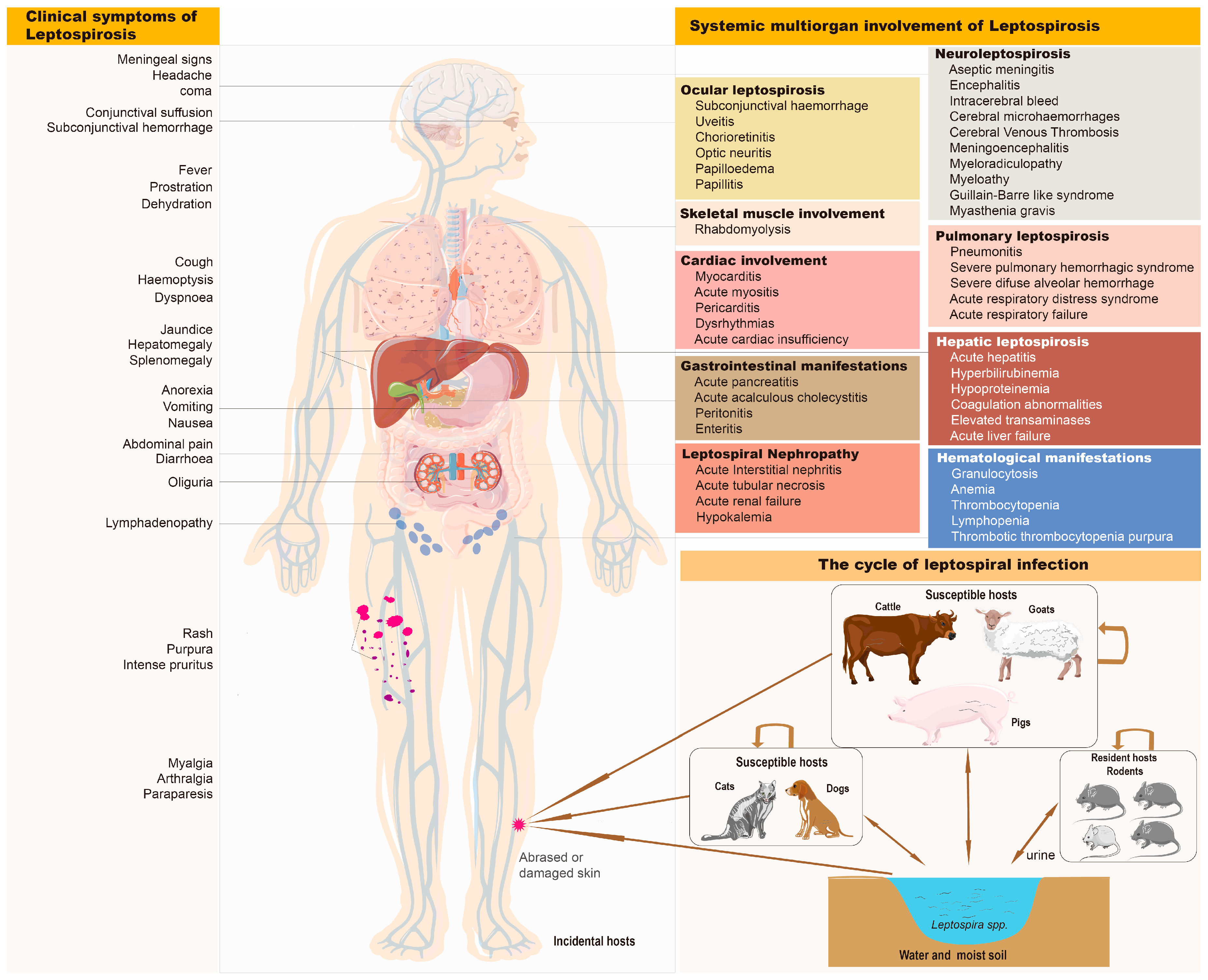 Diagnostics 13 03218 g003 Diagnostics 13 03218 g003