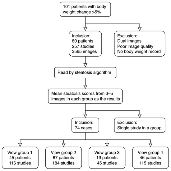 Steatosis Quantification on Ultrasound Images by a Deep Learning 