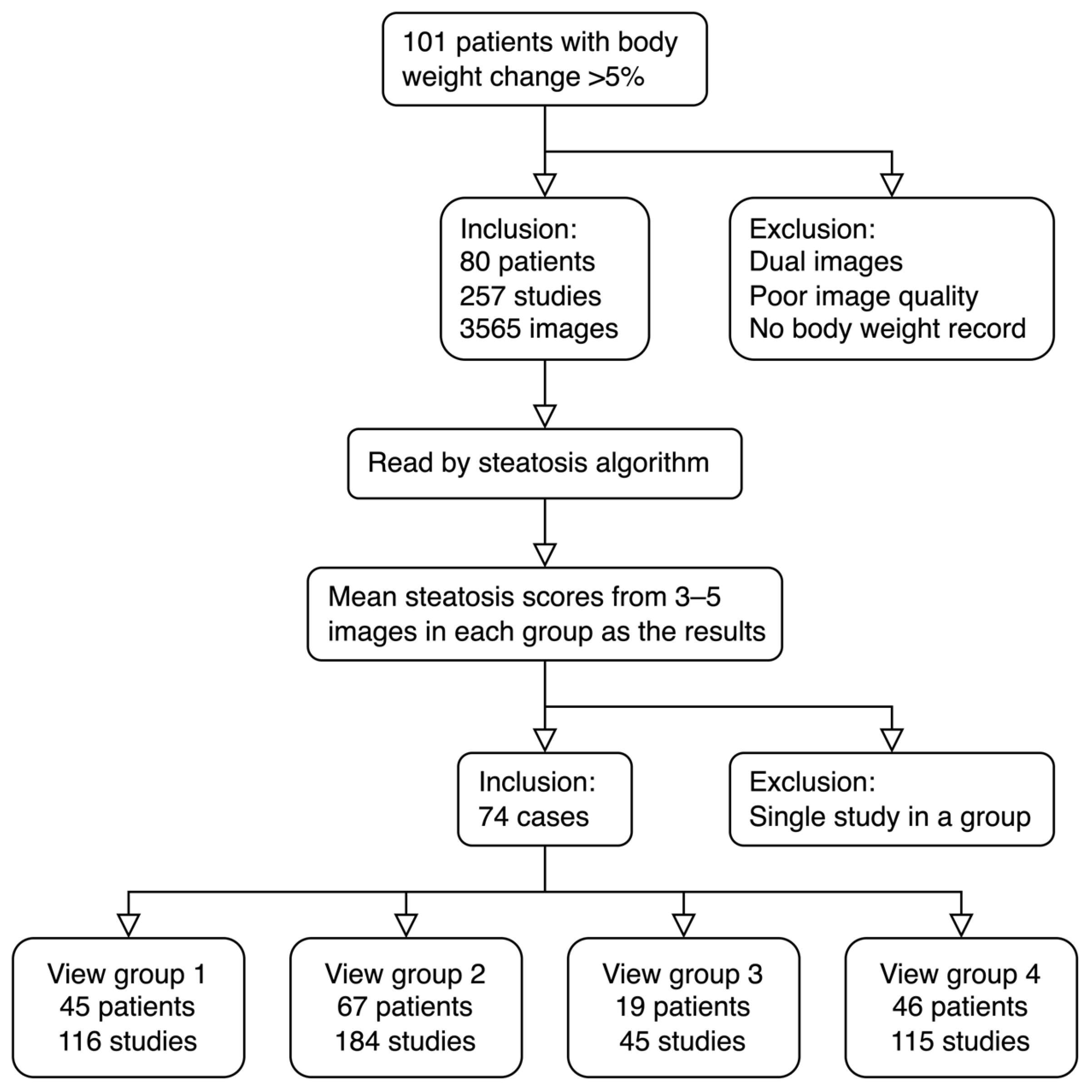 Diagnostics 13 03225 g001