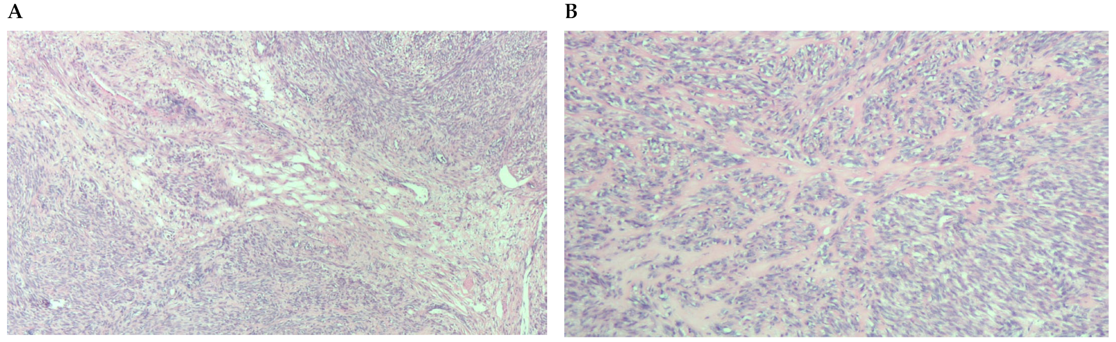 Diagnostics 13 03230 g004