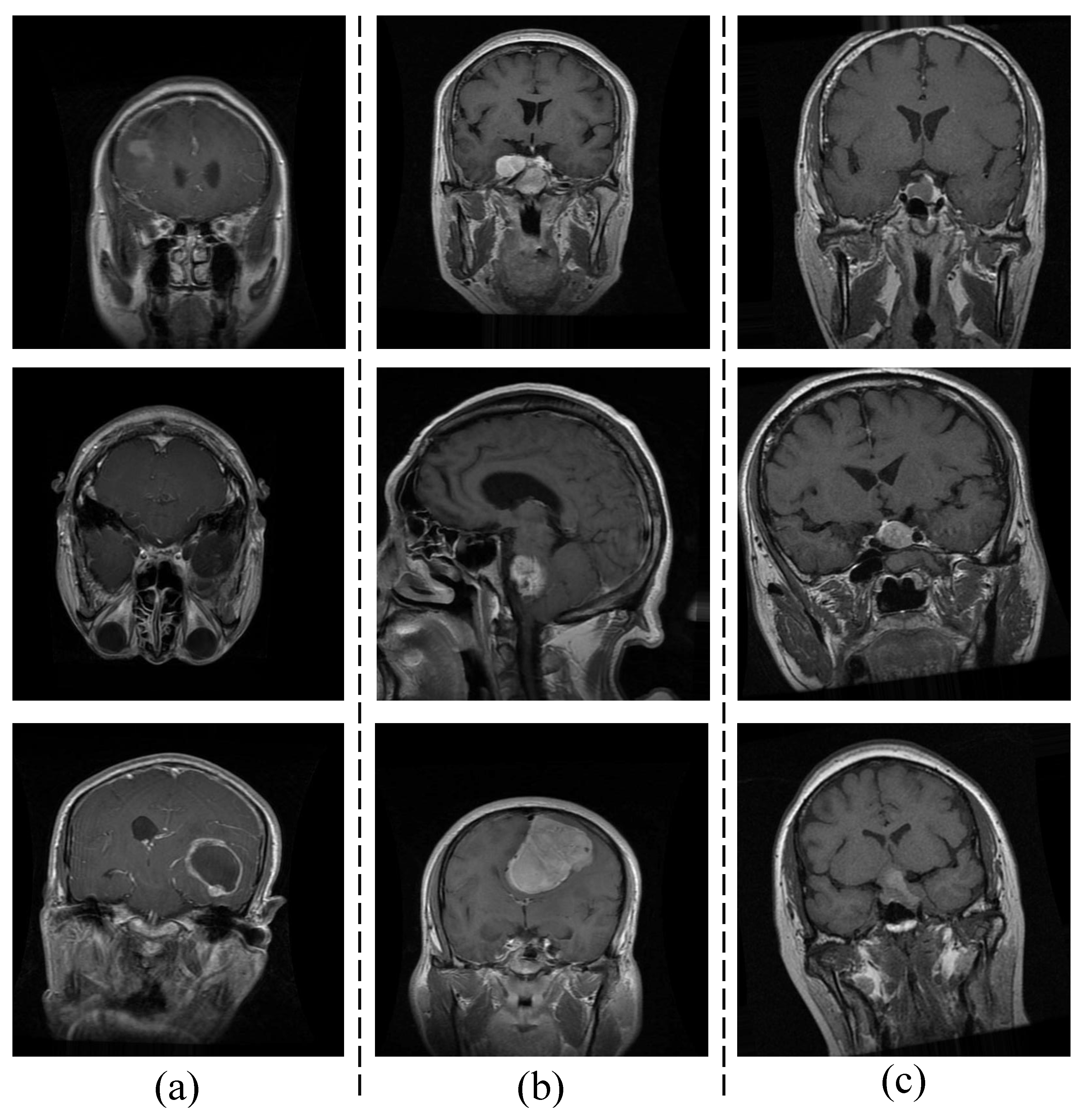 Diagnostics 13 03234 g001