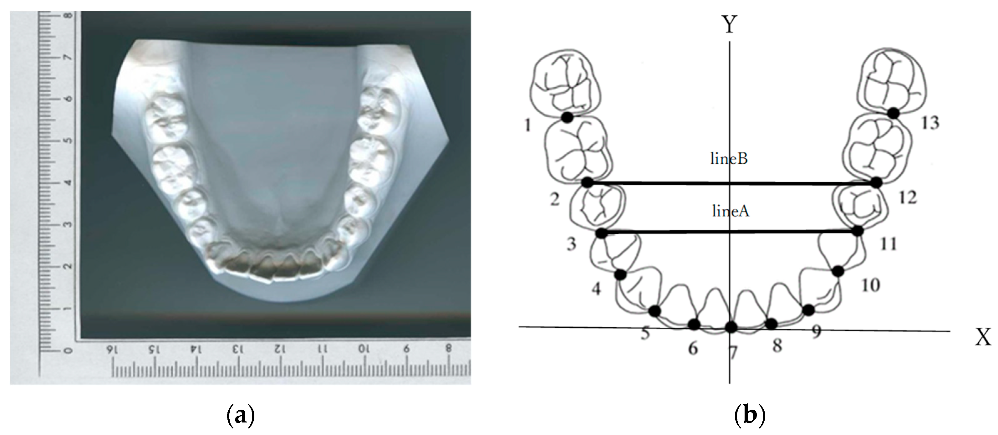 Diagnostics 13 03237 g001