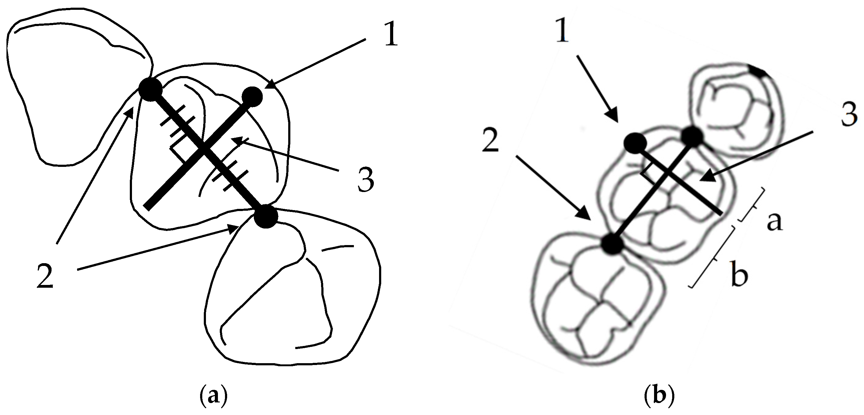 Diagnostics 13 03237 g002