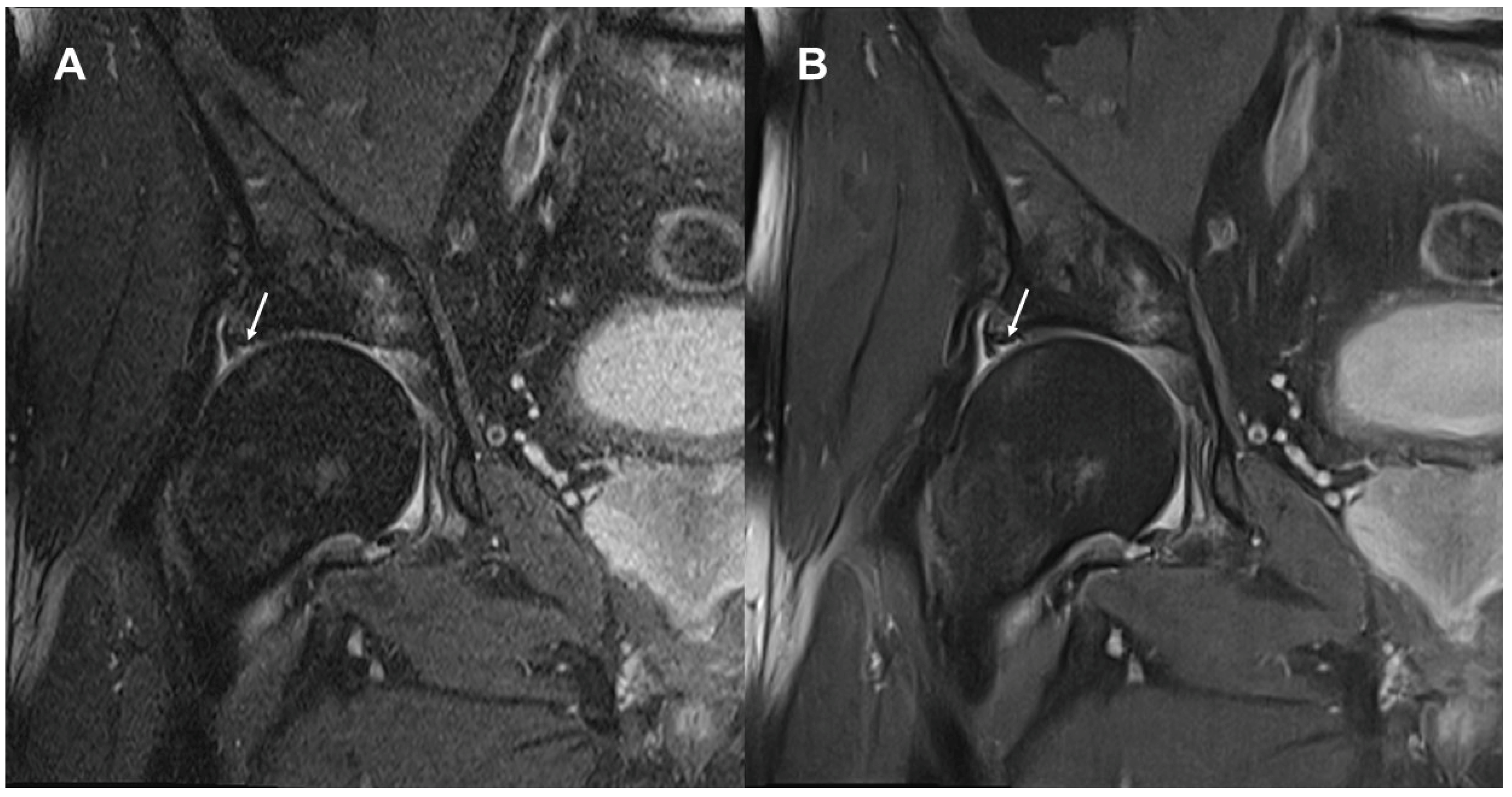 Diagnostics 13 03241 g003