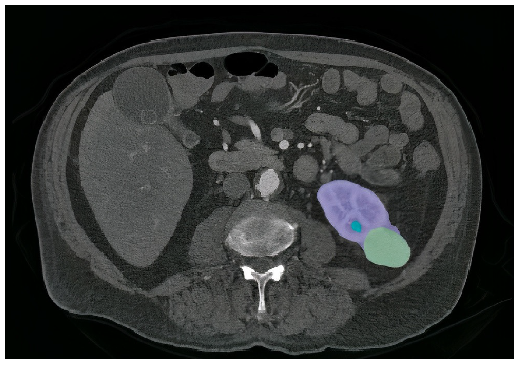 Diagnostics 13 03244 g001