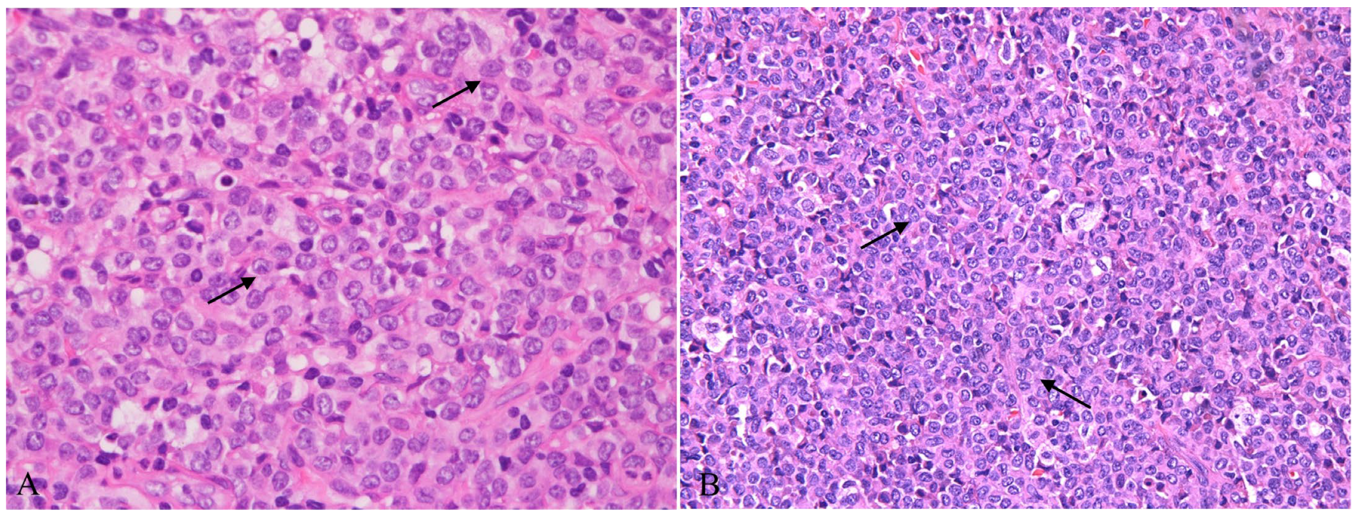 Diagnostics 13 03248 g002