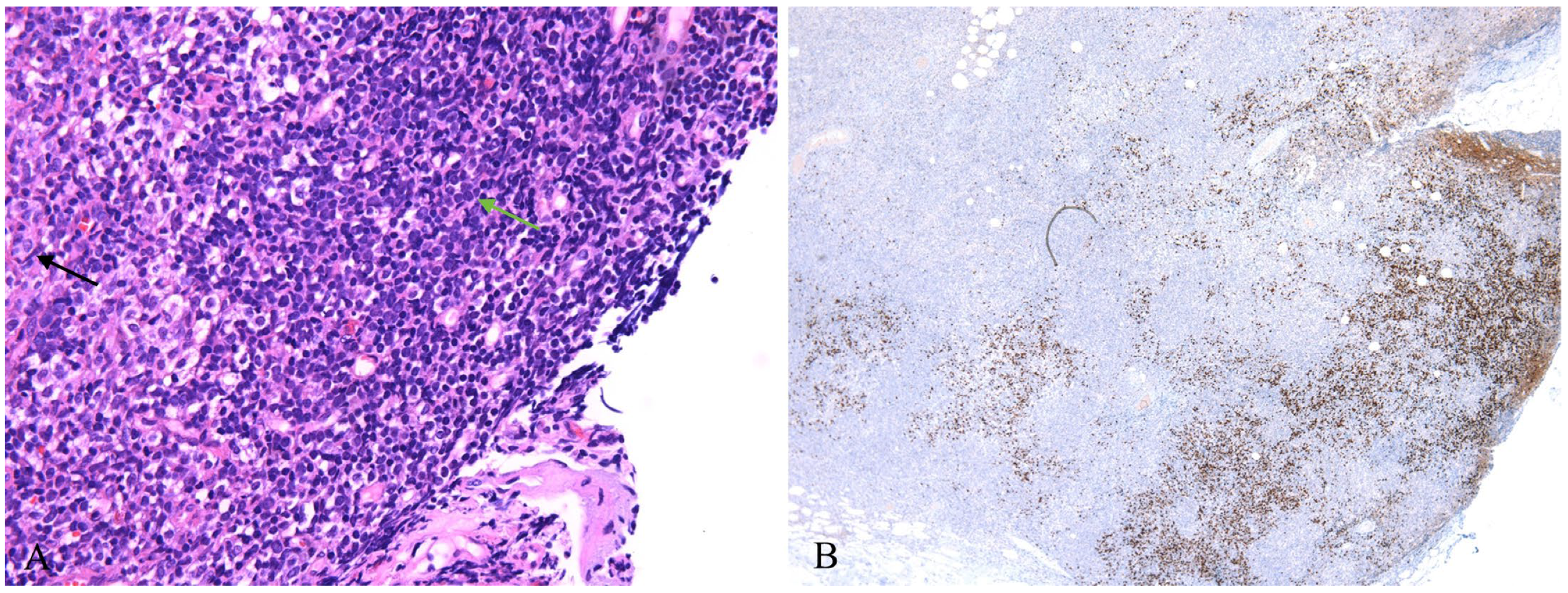 Diagnostics 13 03248 g003