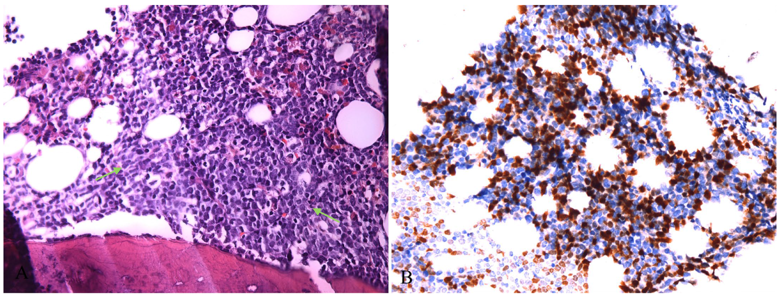 Diagnostics 13 03248 g004