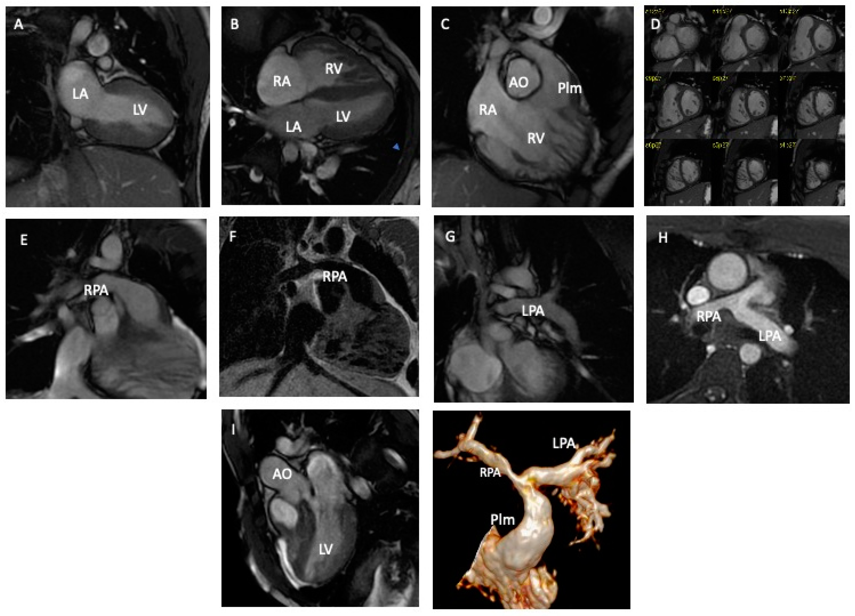 Diagnostics 13 03255 g004