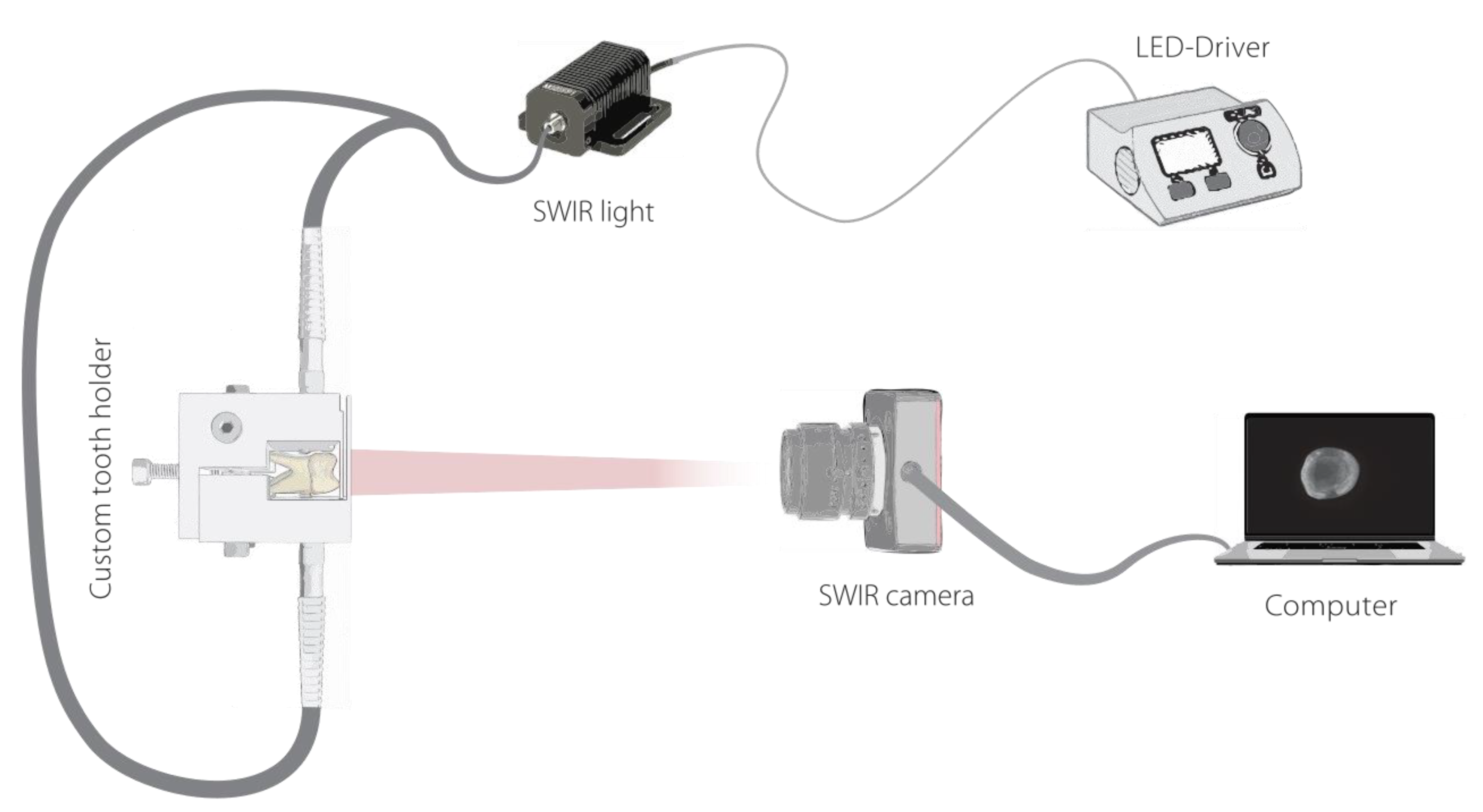 Diagnostics 13 03257 g001