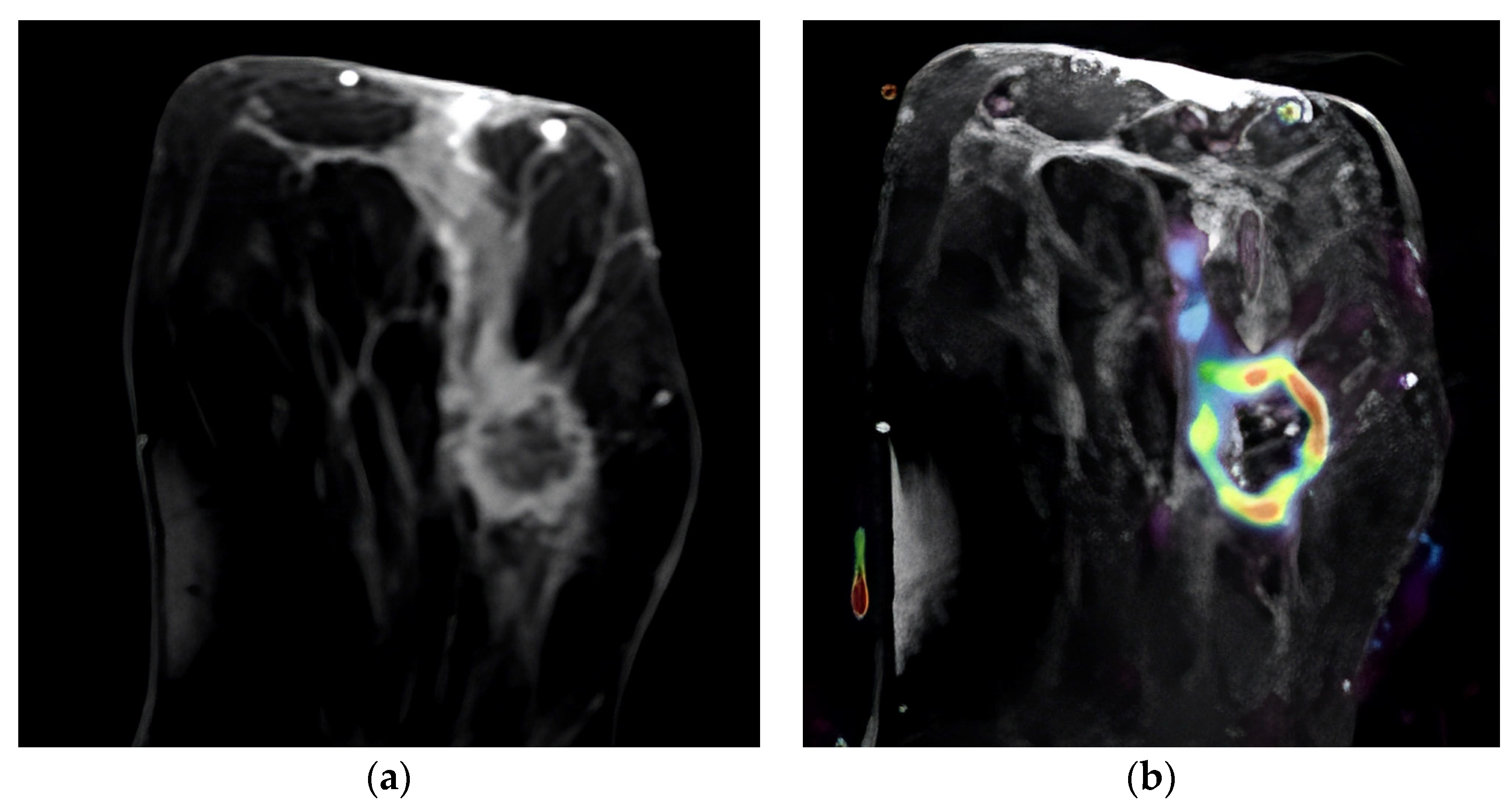 Diagnostics 13 03260 g001
