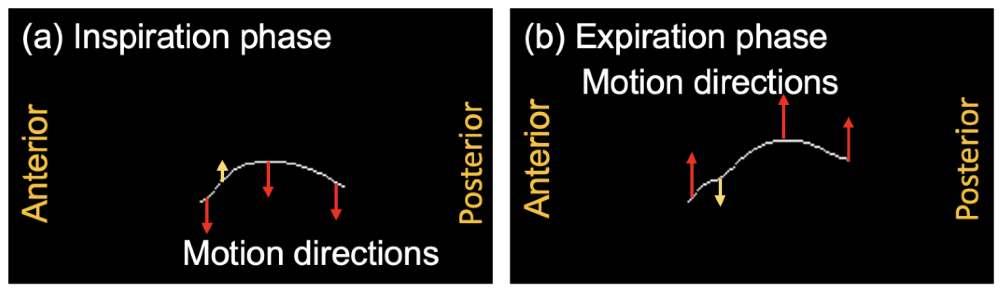 Diagnostics 13 03261 g012
