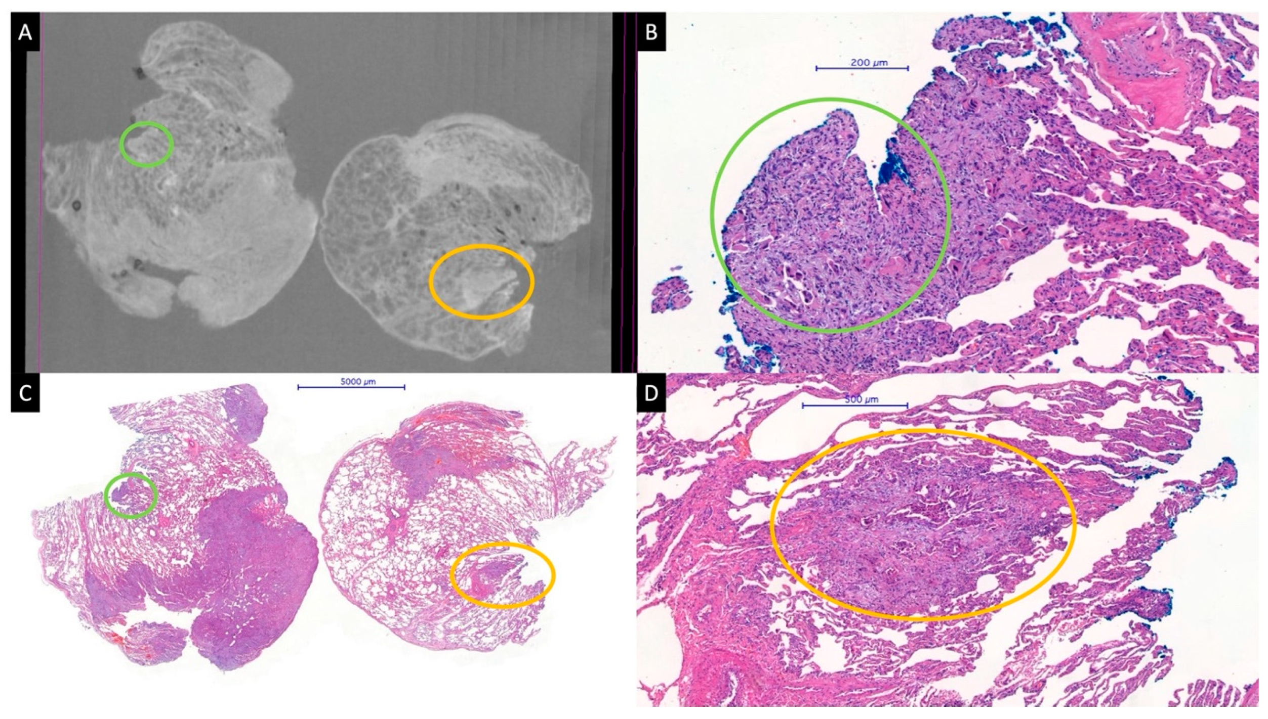 Diagnostics 13 03262 g001