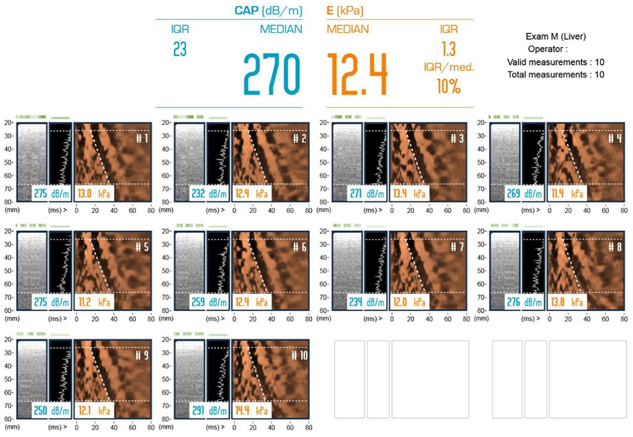 Diagnostics 13 03268 g001