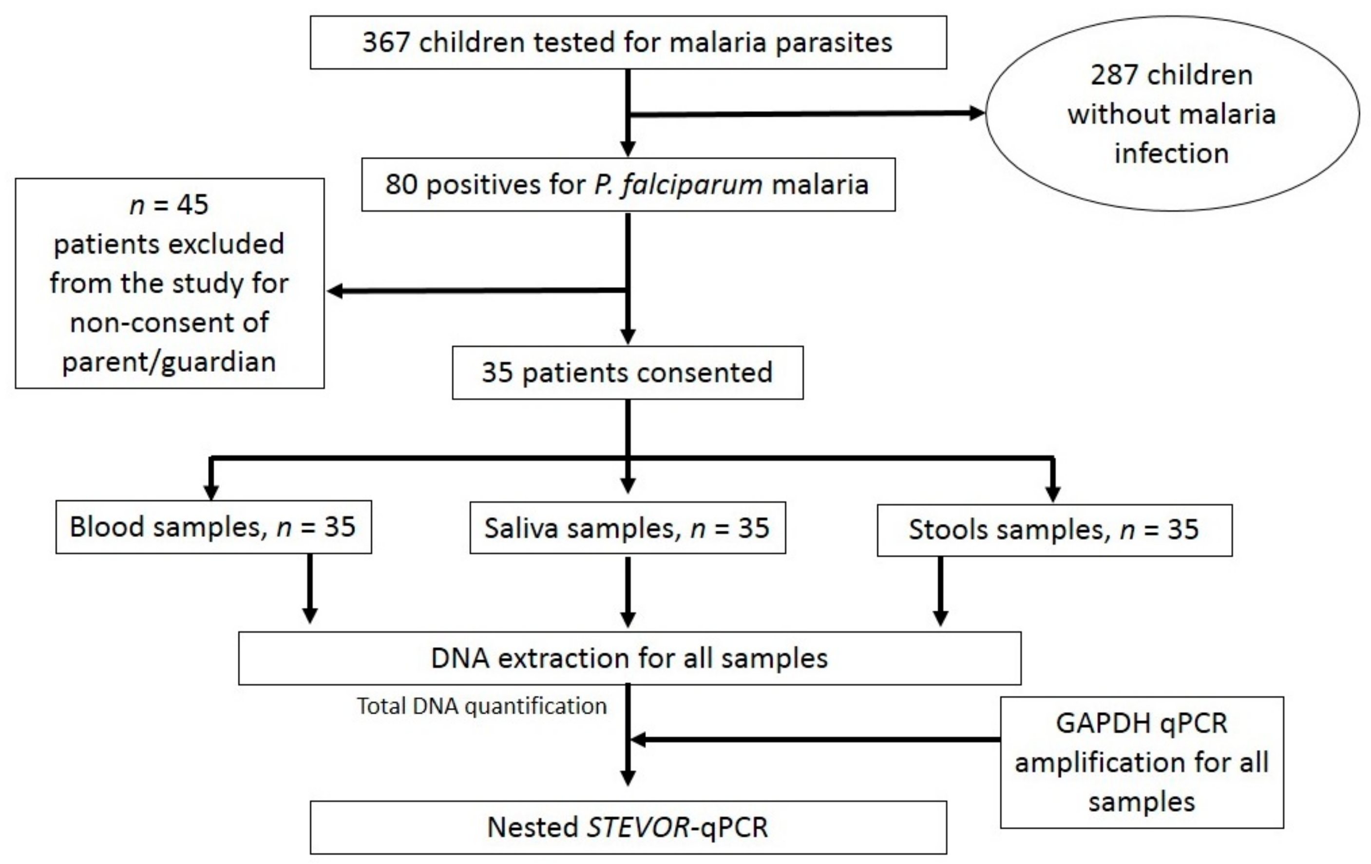Diagnostics 13 03271 g001