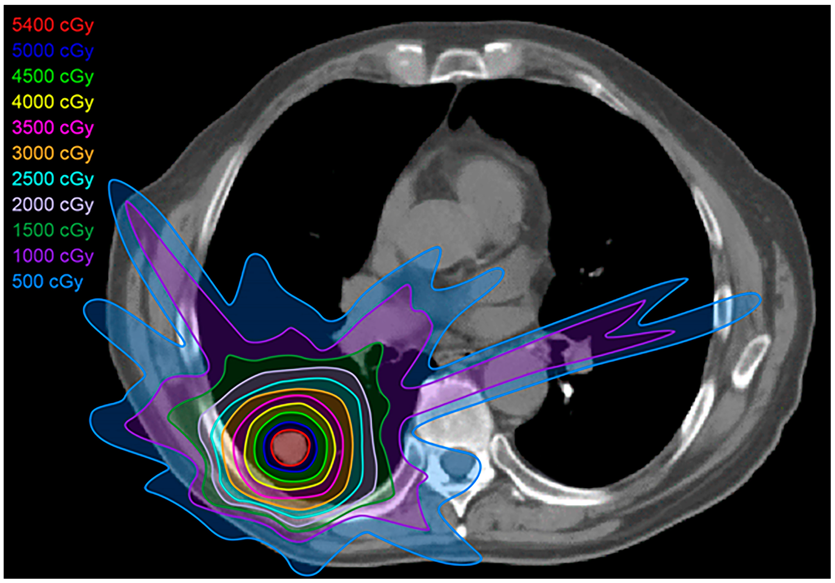 Diagnostics 13 03283 g003