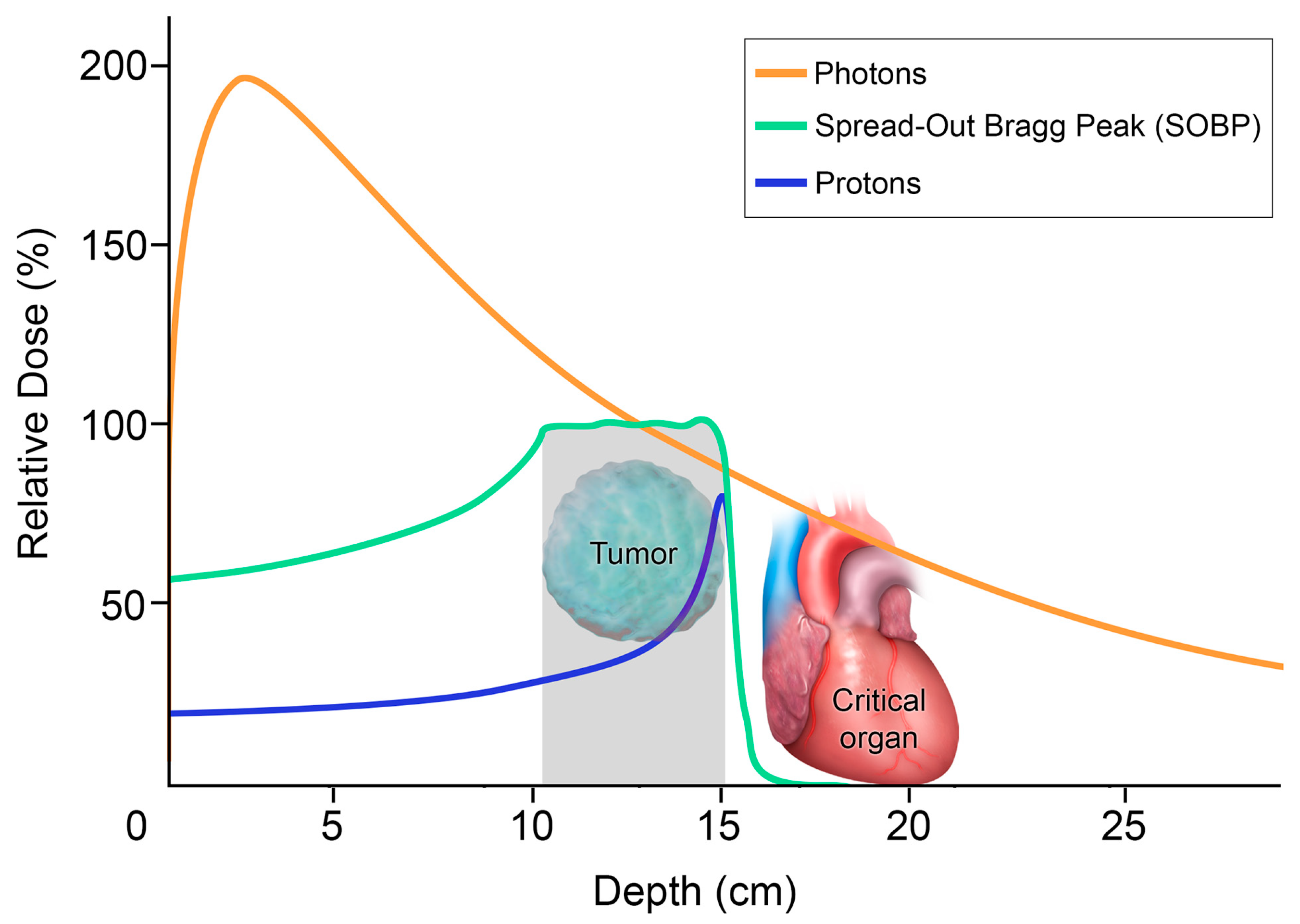 Diagnostics 13 03283 g005