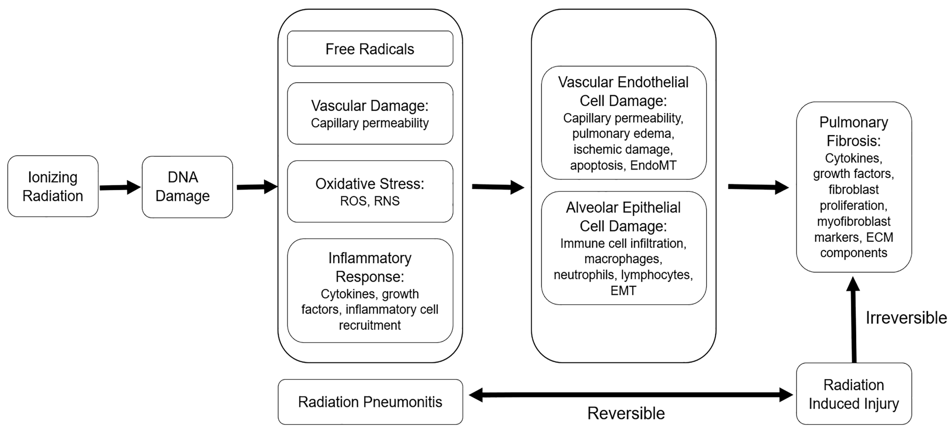 Diagnostics 13 03283 g007