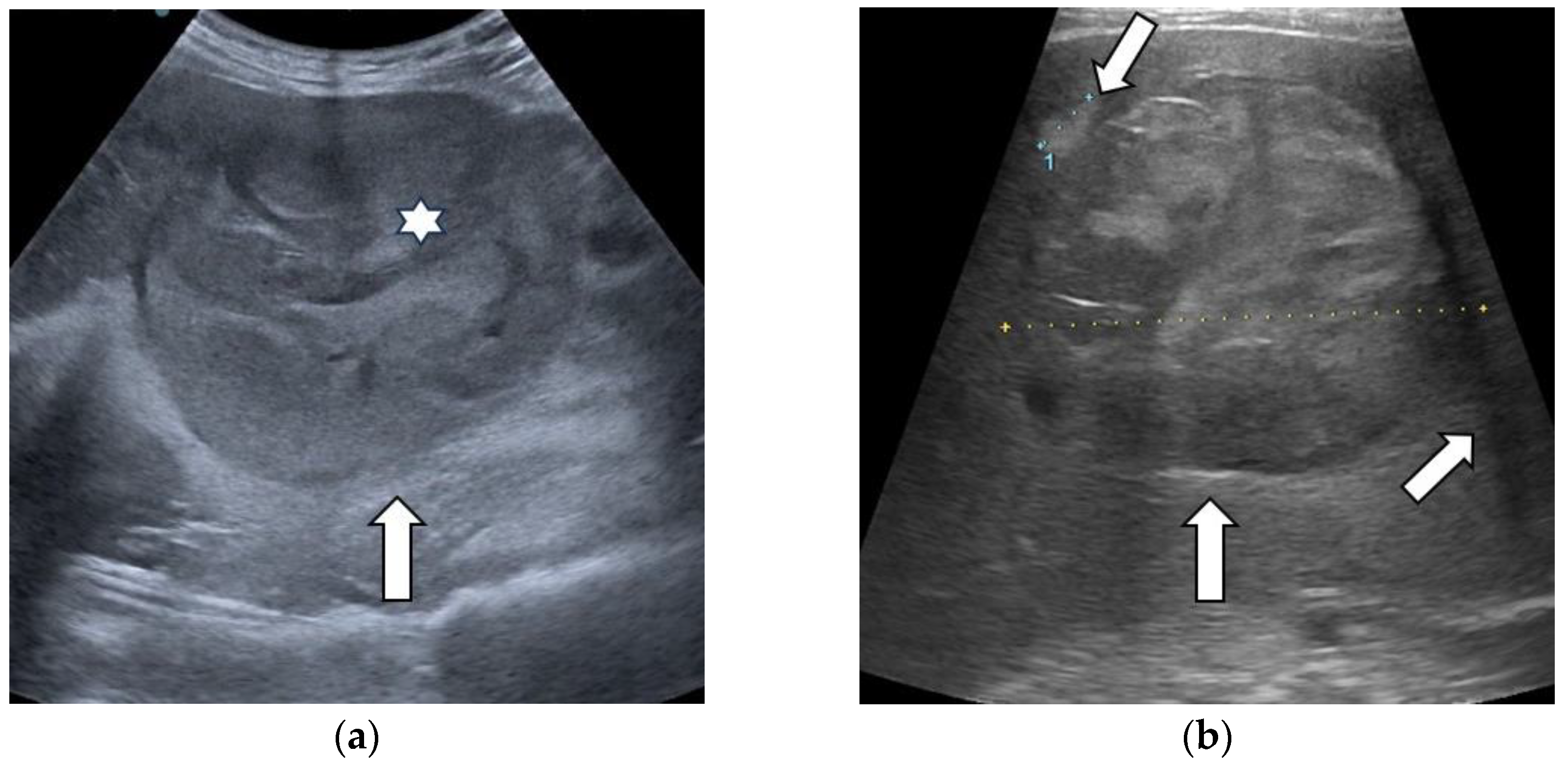 Diagnostics 13 03288 g007
