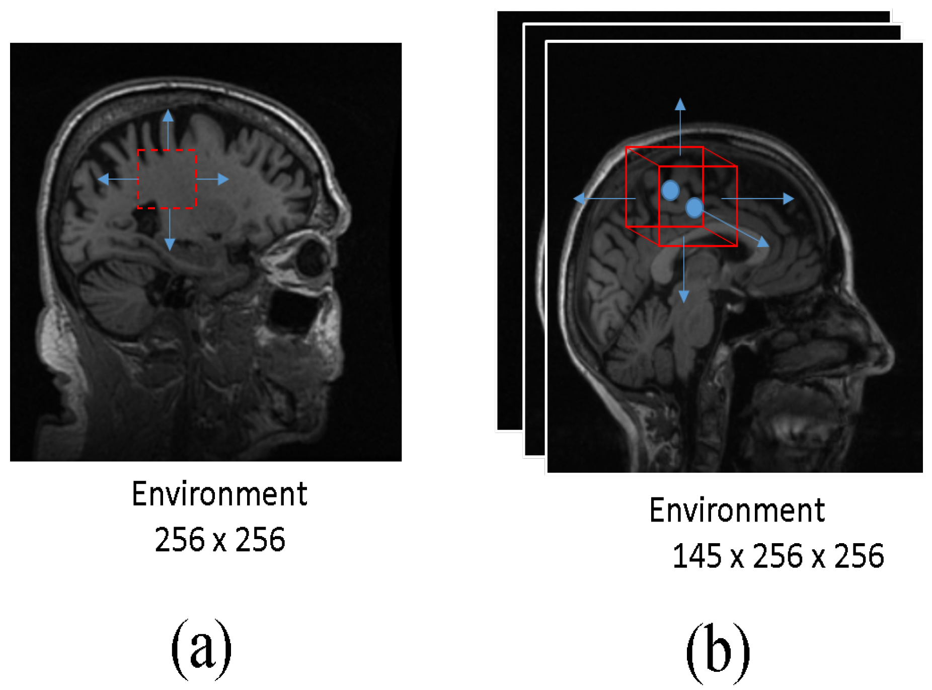 Diagnostics 13 03292 g004