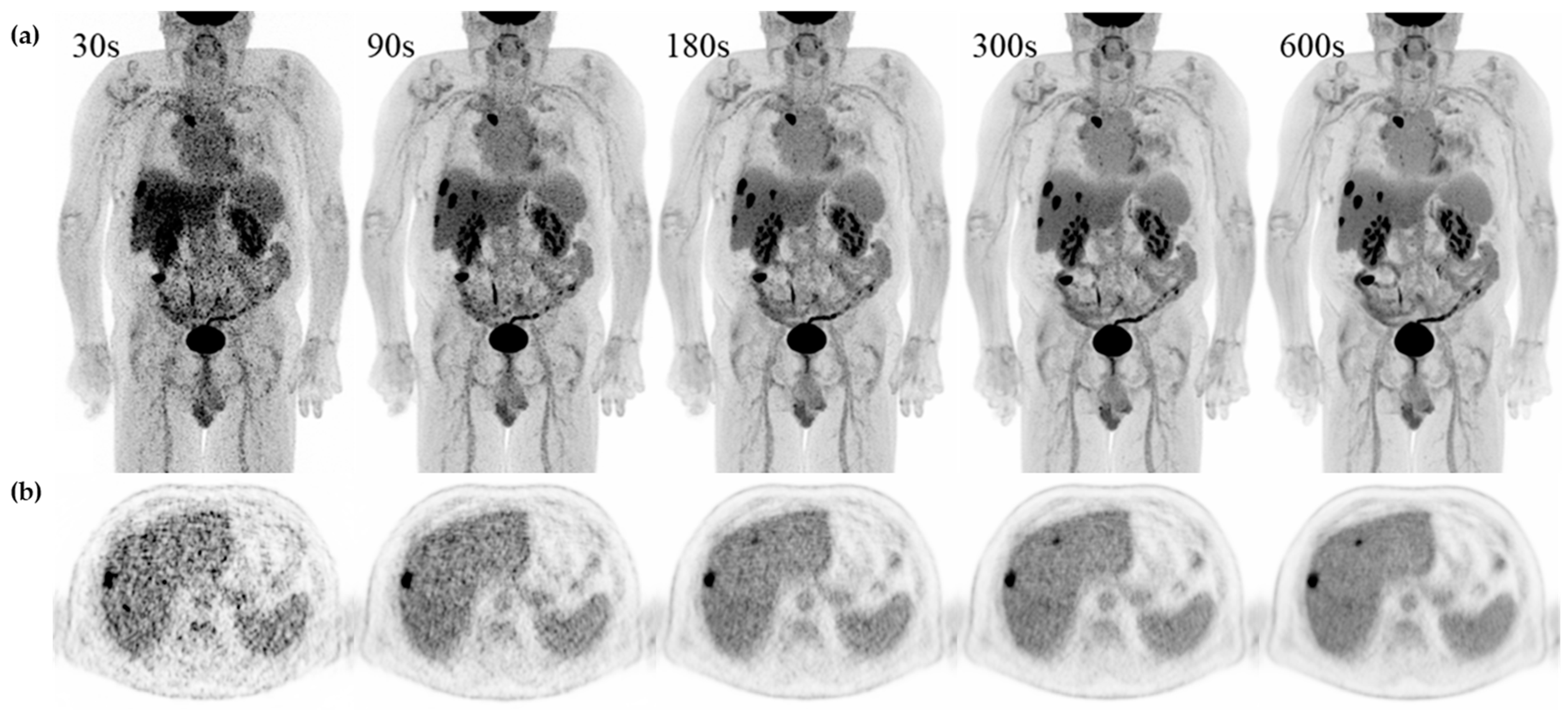 Diagnostics 13 03295 g004