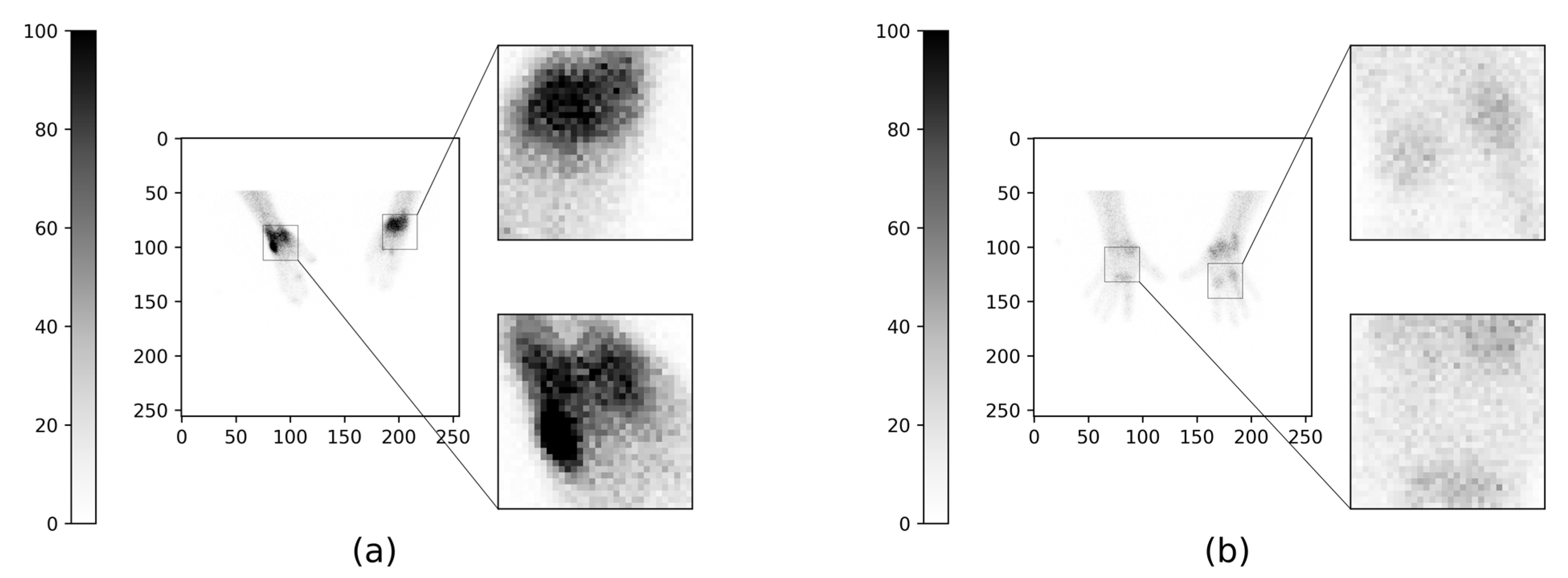 Diagnostics 13 03298 g001