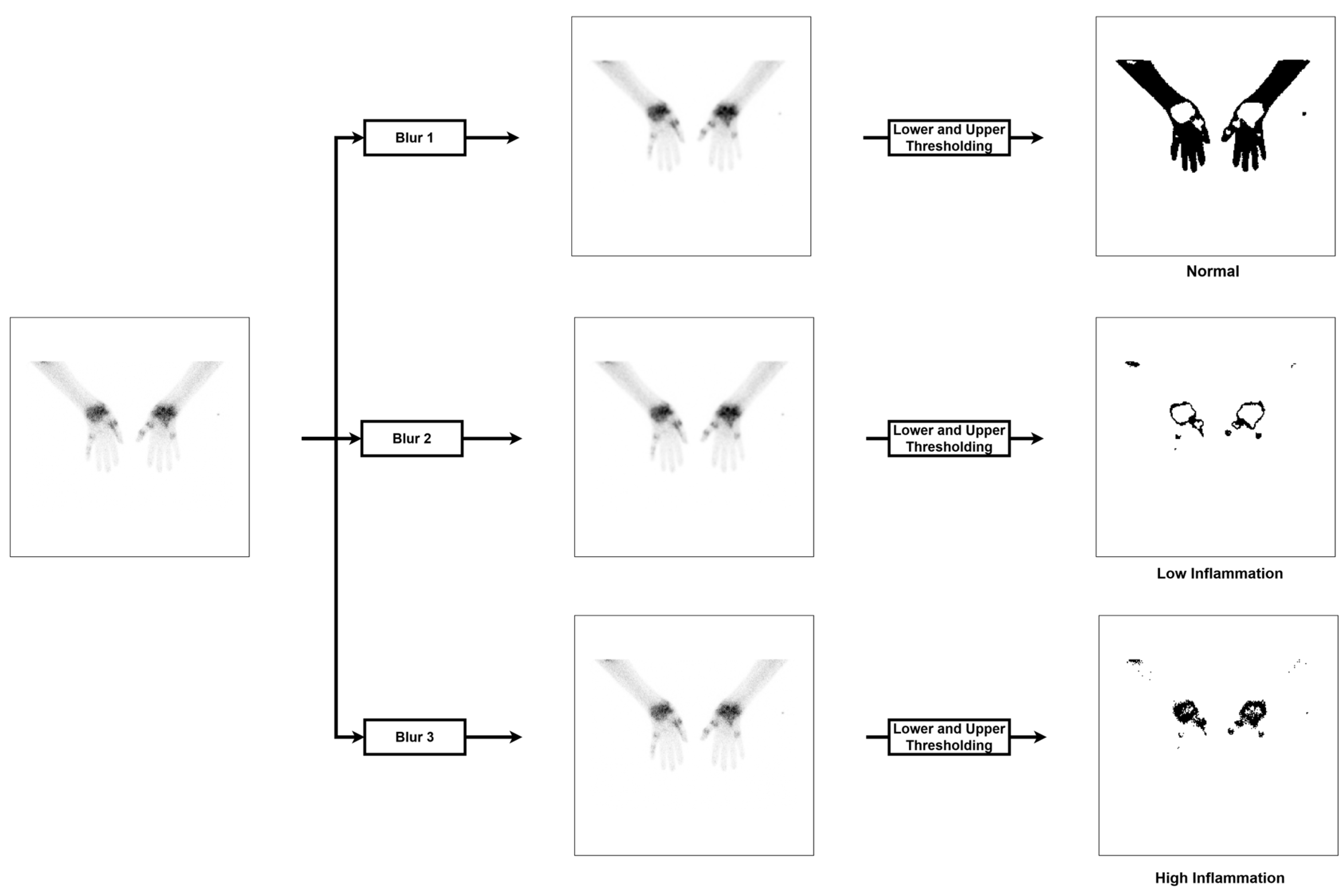 Diagnostics 13 03298 g004