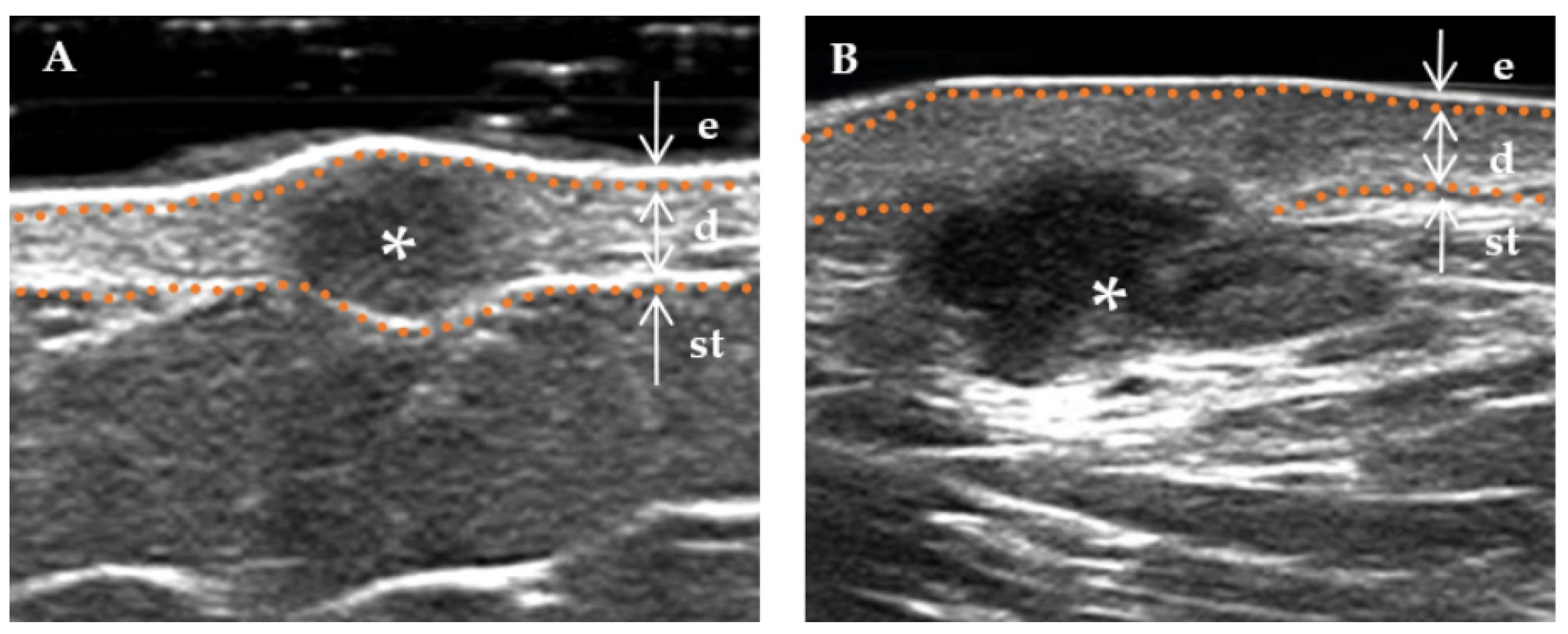 Diagnostics 13 03305 g007