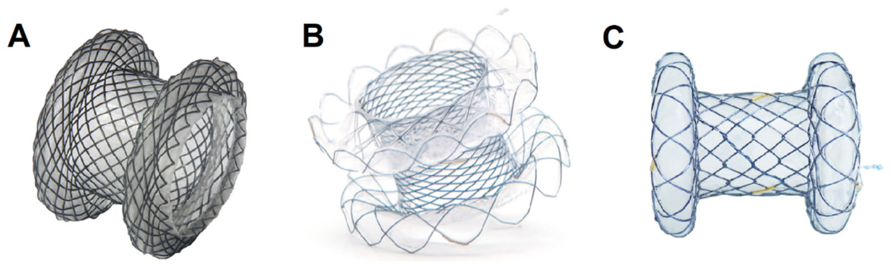 Diagnostics 13 03308 g001 Diagnostics 13 03308 g001