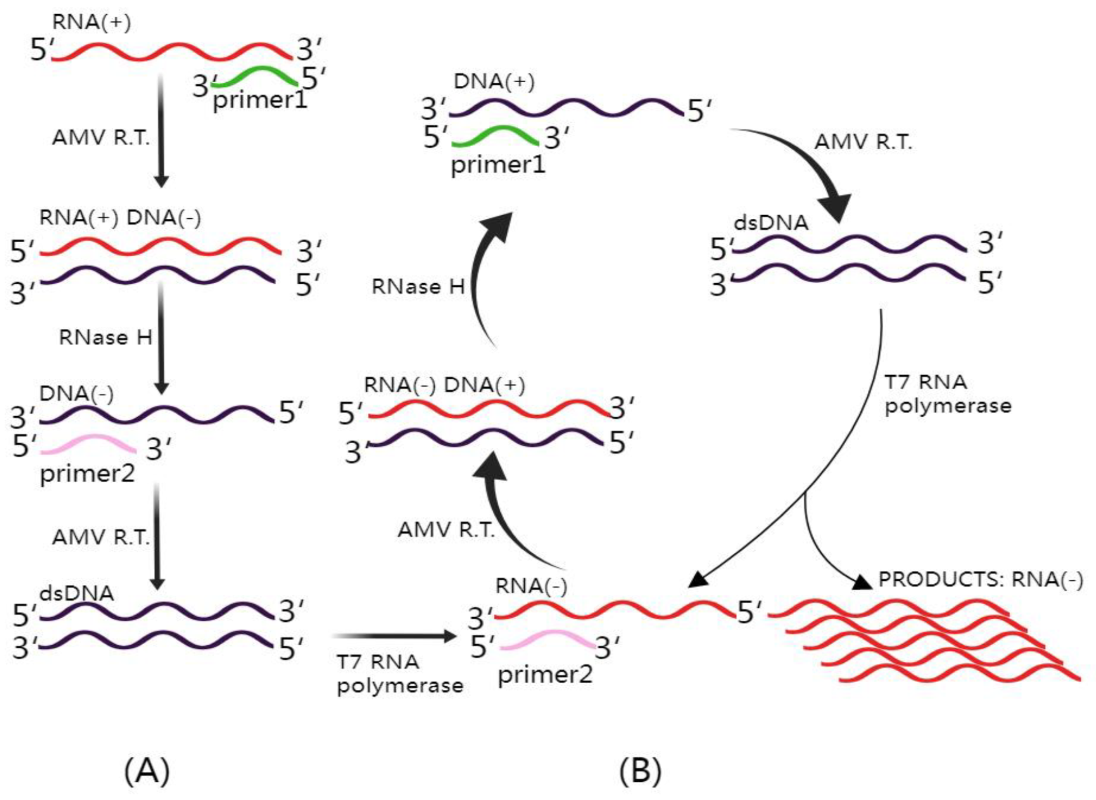 Diagnostics 13 03310 g003 Diagnostics 13 03310 g003