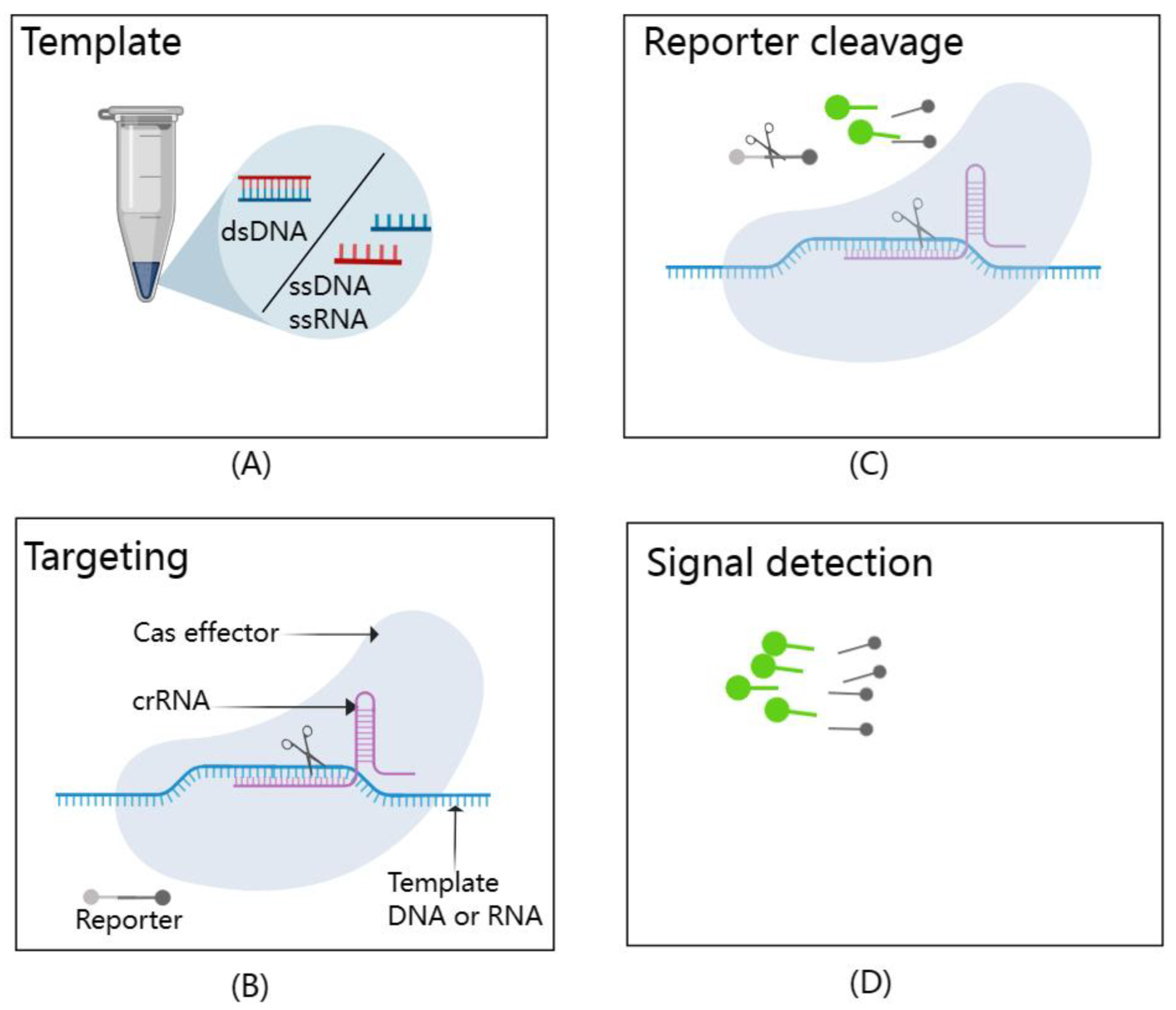 Diagnostics 13 03310 g005 Diagnostics 13 03310 g005