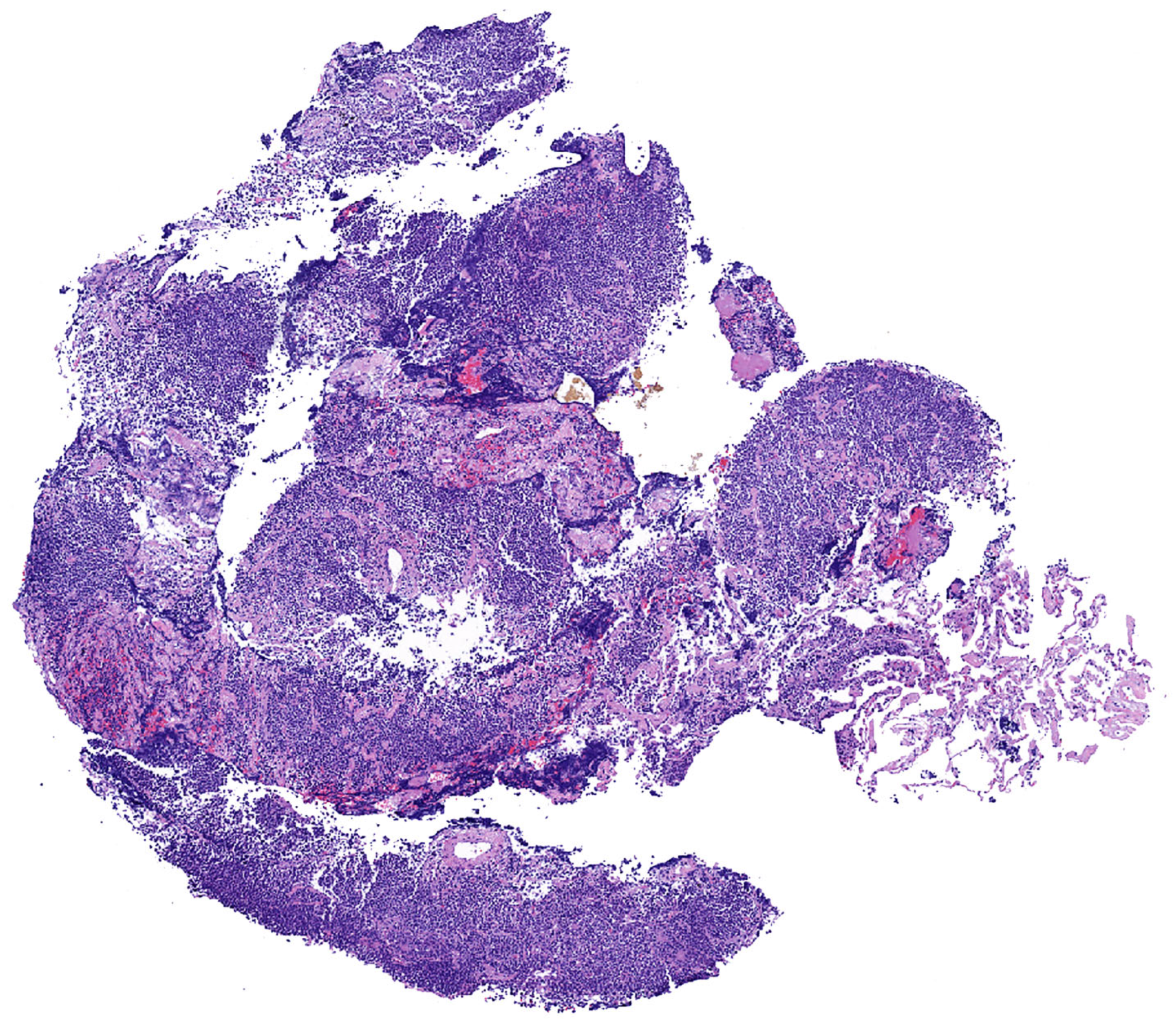 Diagnostics 13 03321 g002