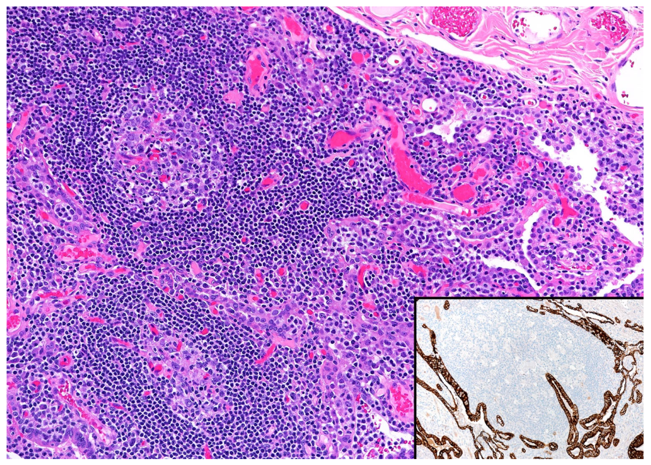 Diagnostics 13 03321 g004