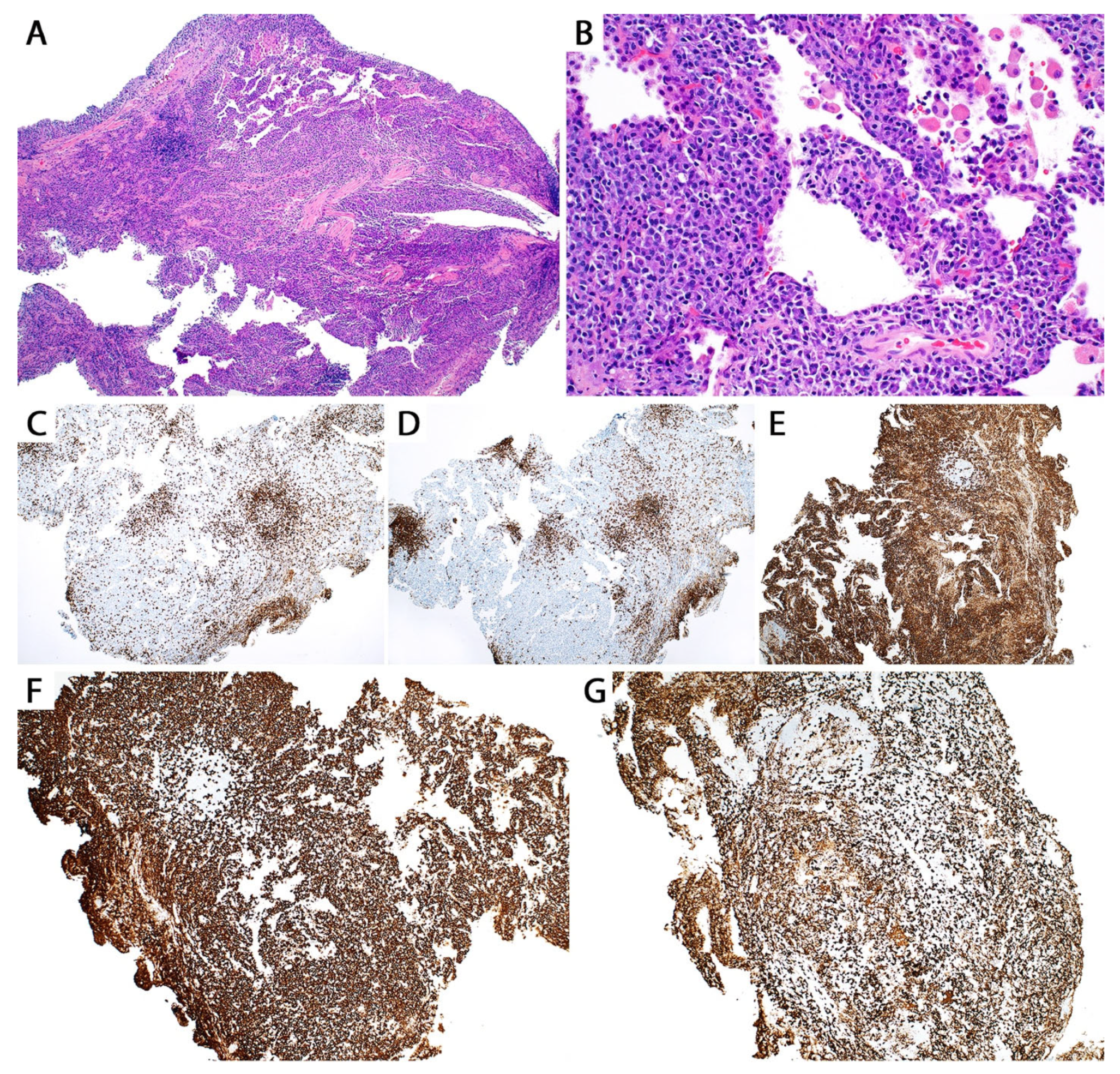 Diagnostics 13 03321 g005