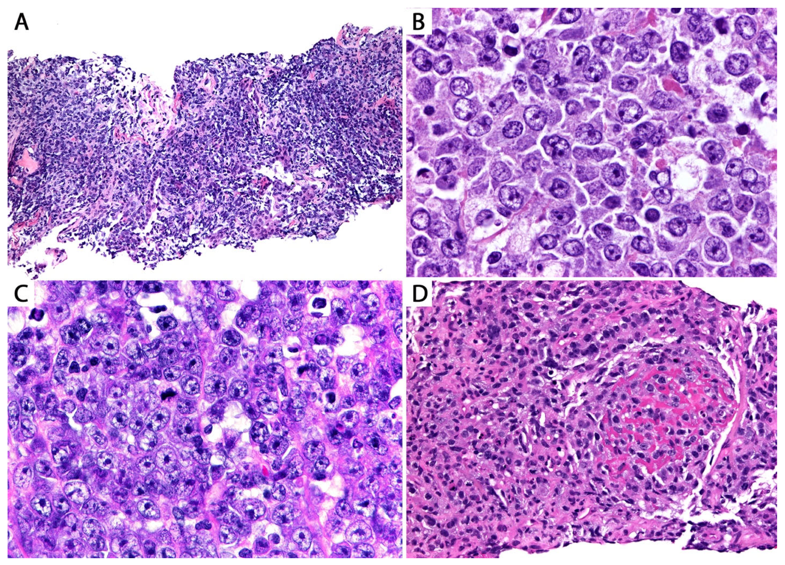 Diagnostics 13 03321 g009