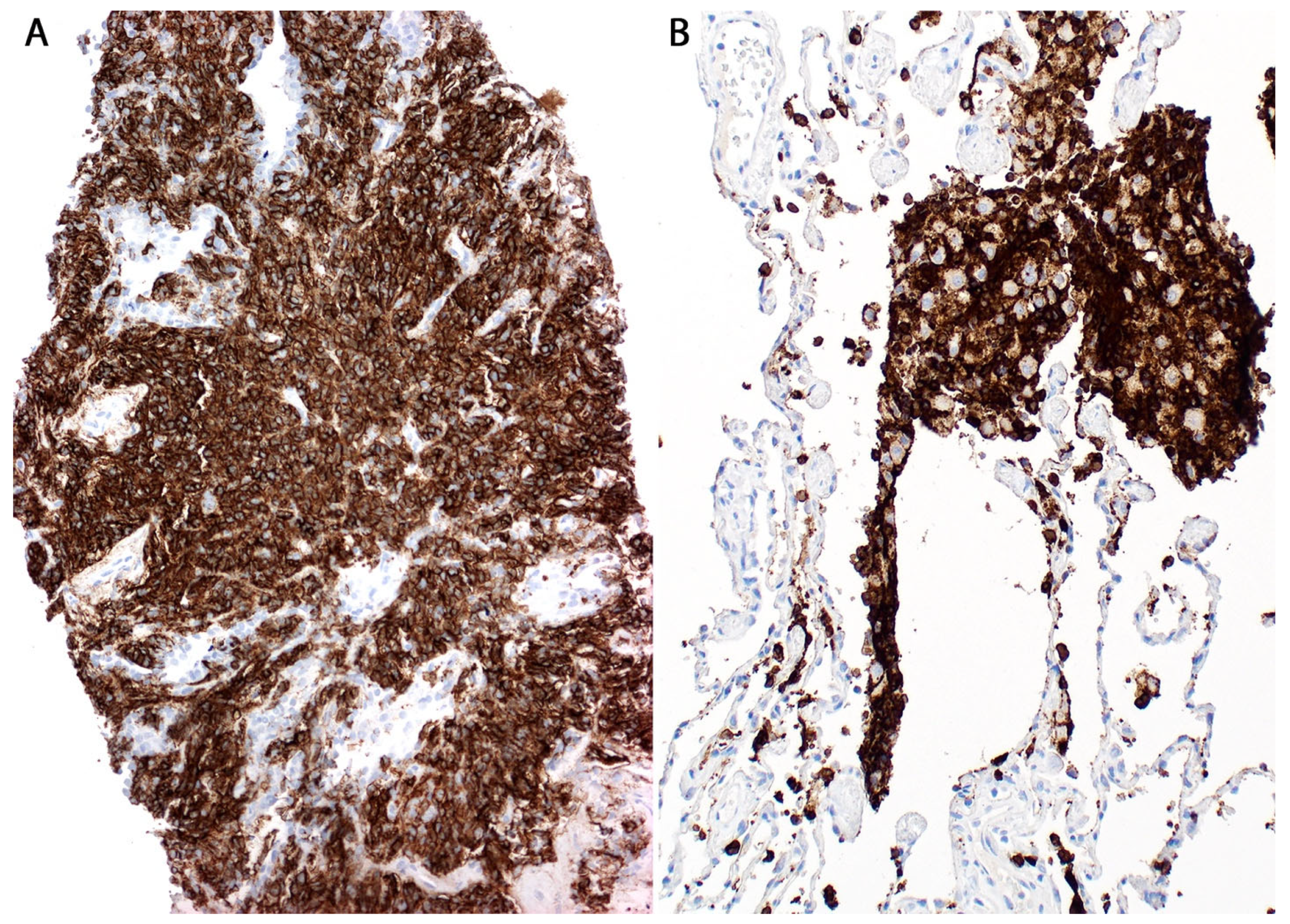 Diagnostics 13 03321 g010