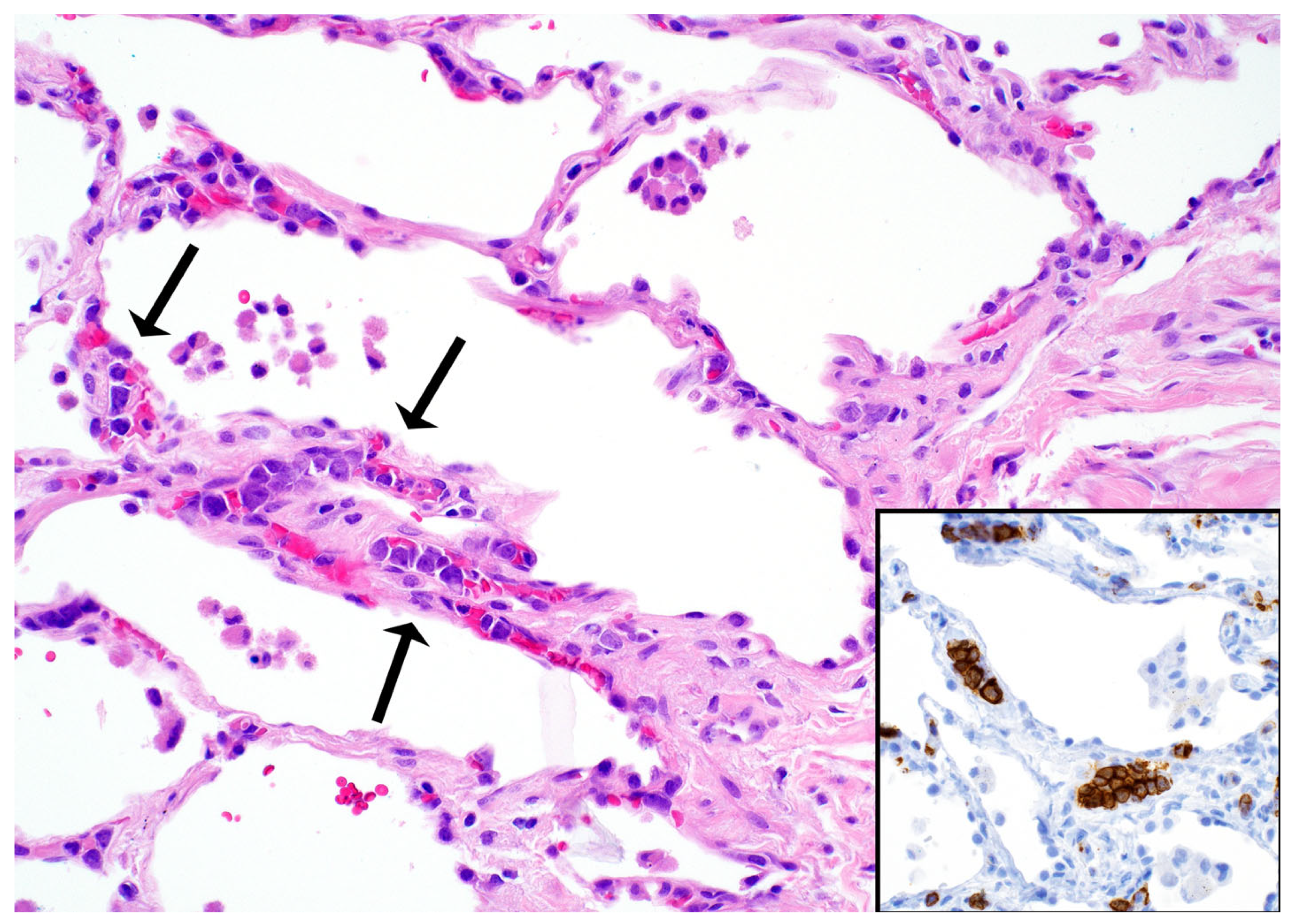 Diagnostics 13 03321 g013