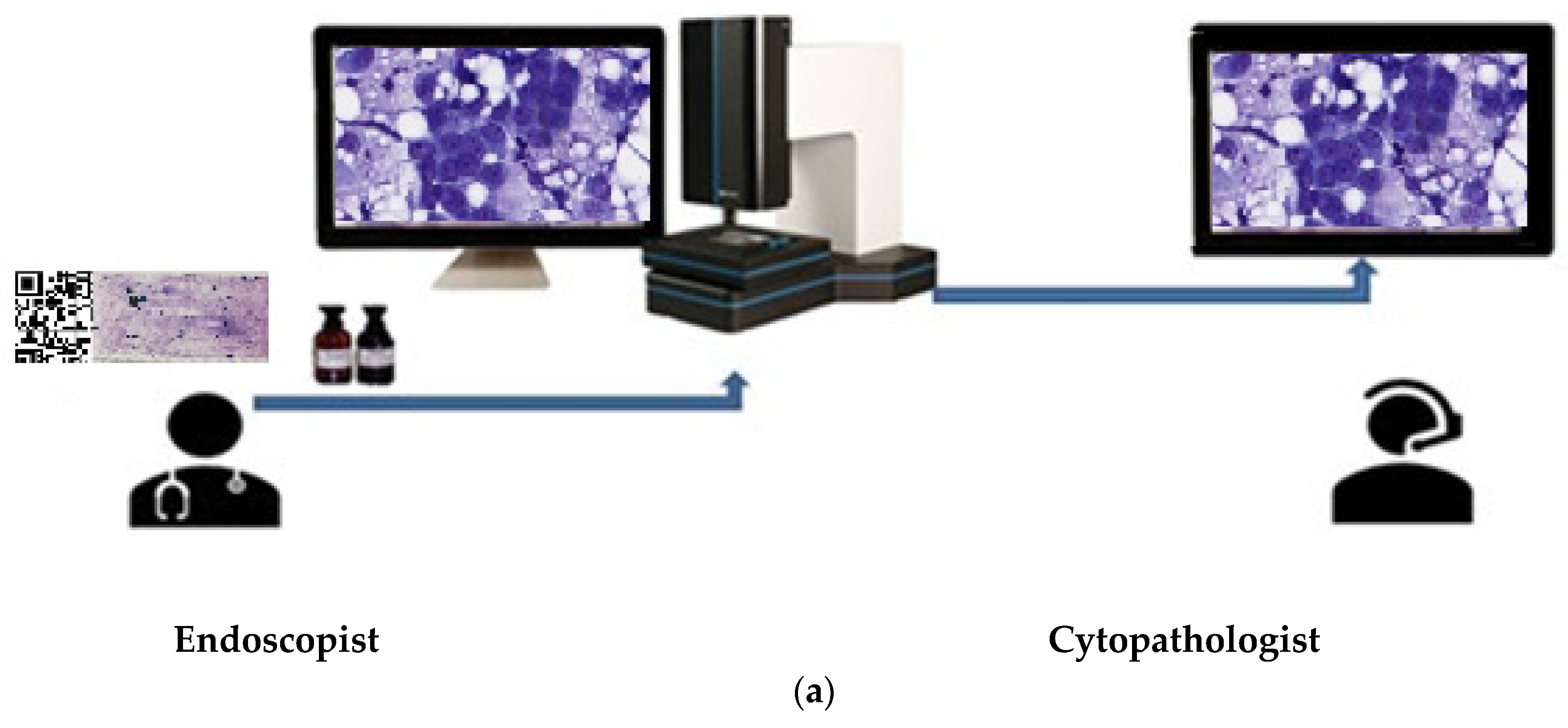 Diagnostics 13 03329 g002a