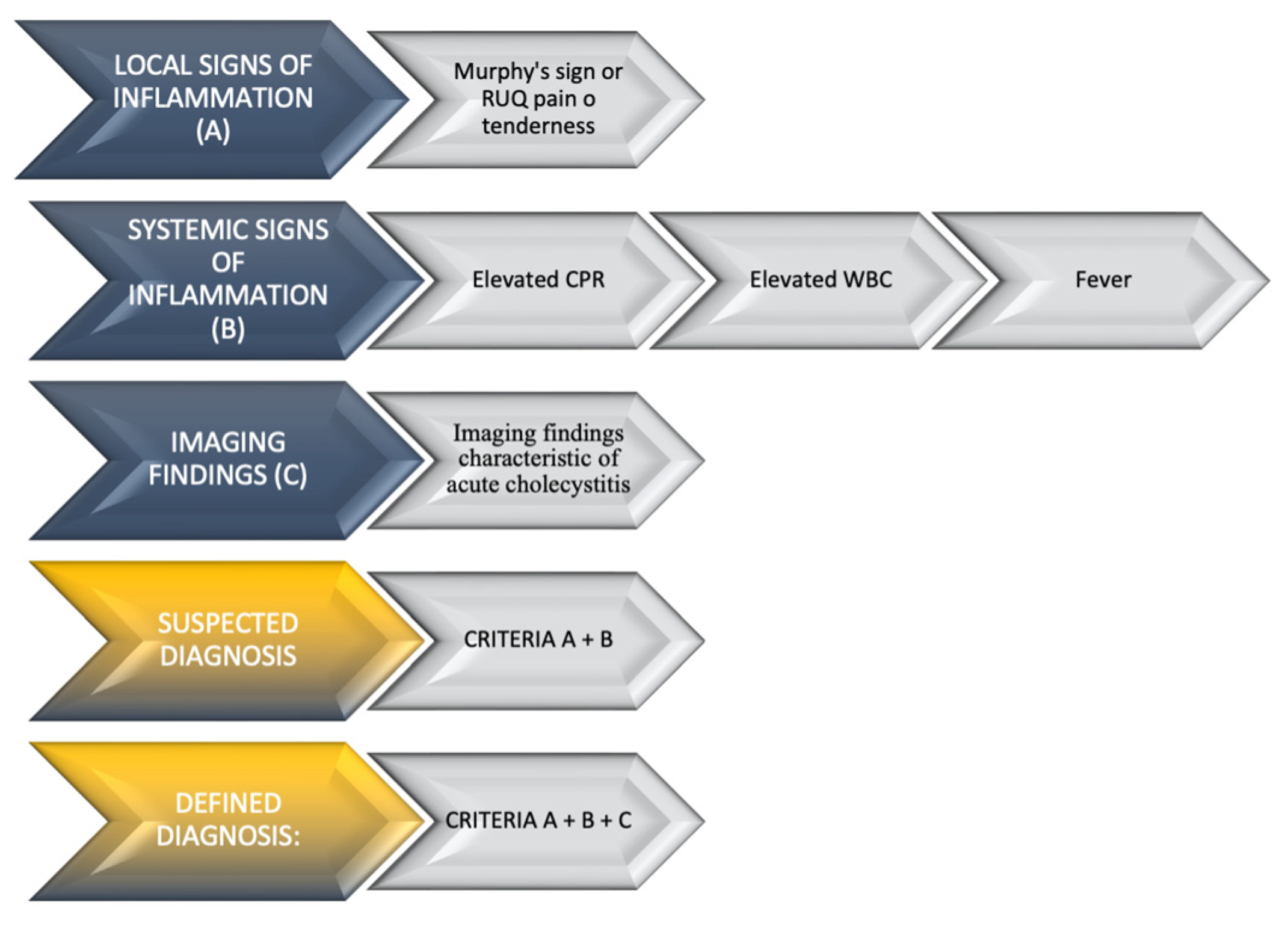 Diagnostics 13 03341 g001