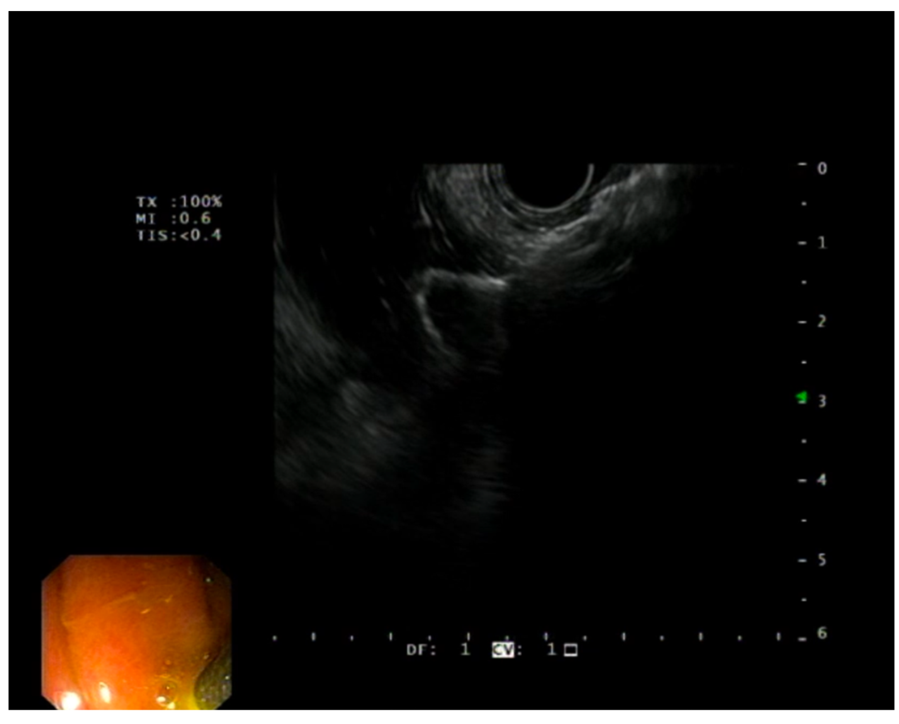 Diagnostics 13 03341 g004