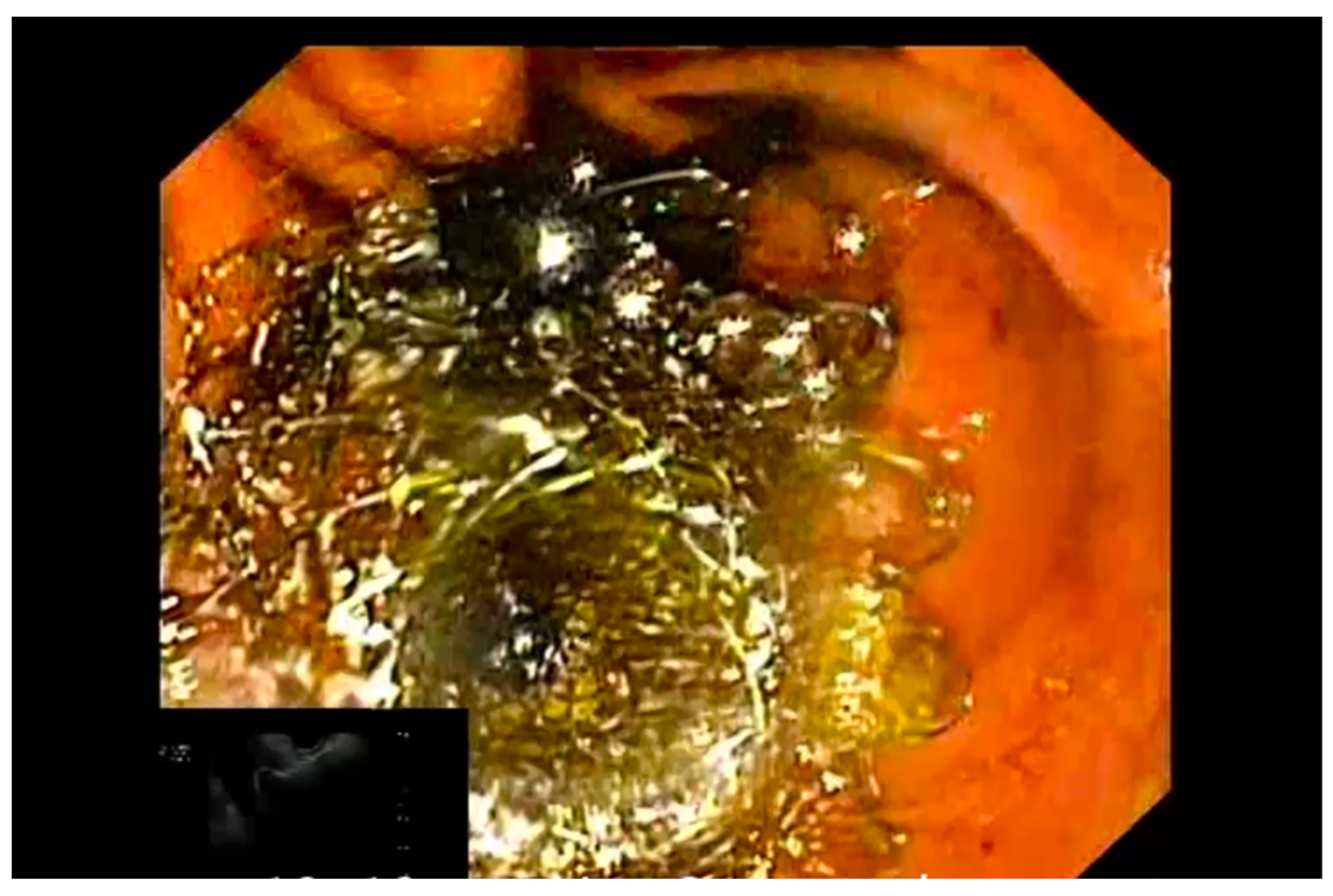 Diagnostics 13 03341 g005