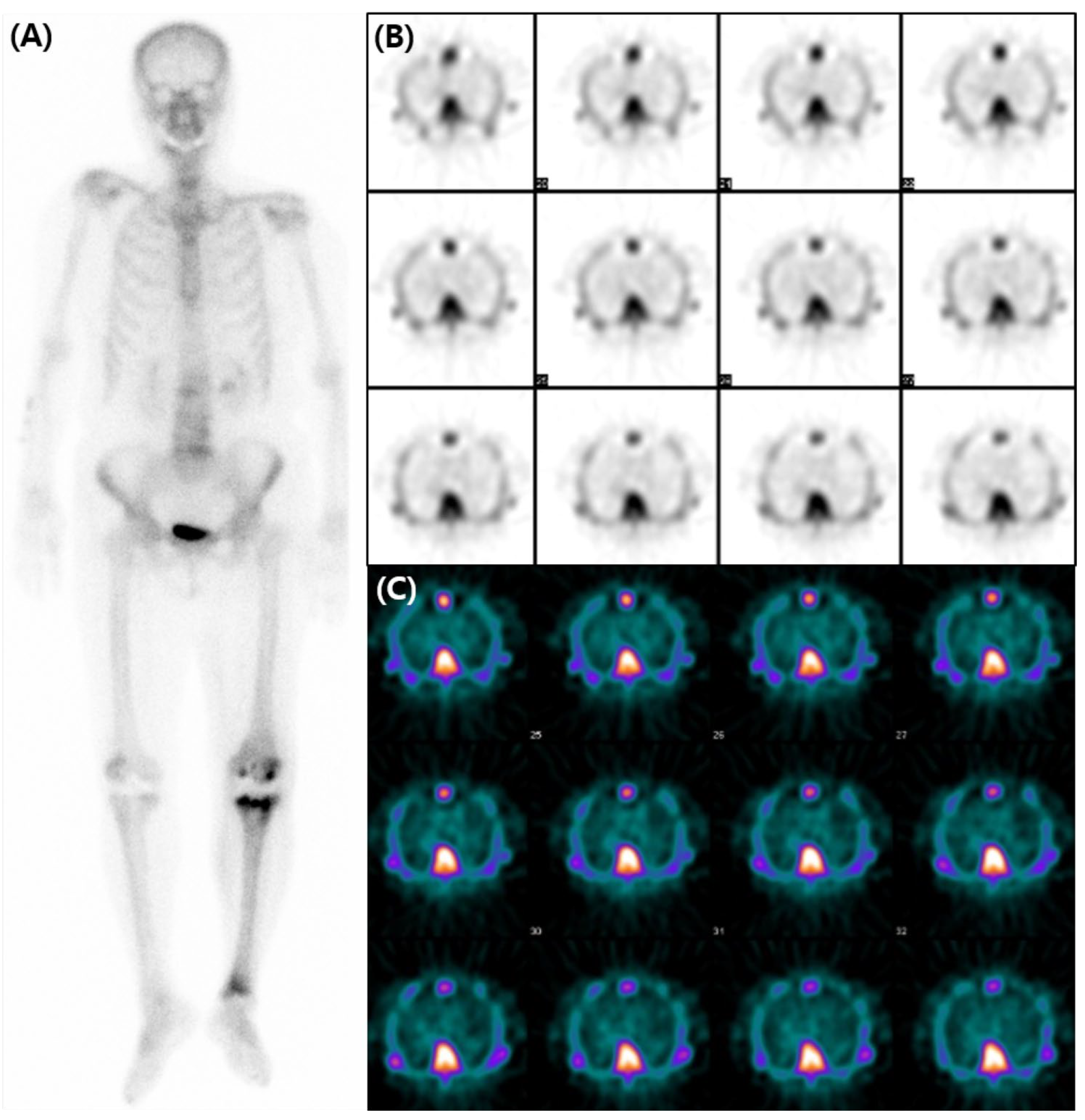 Diagnostics 13 03342 g002