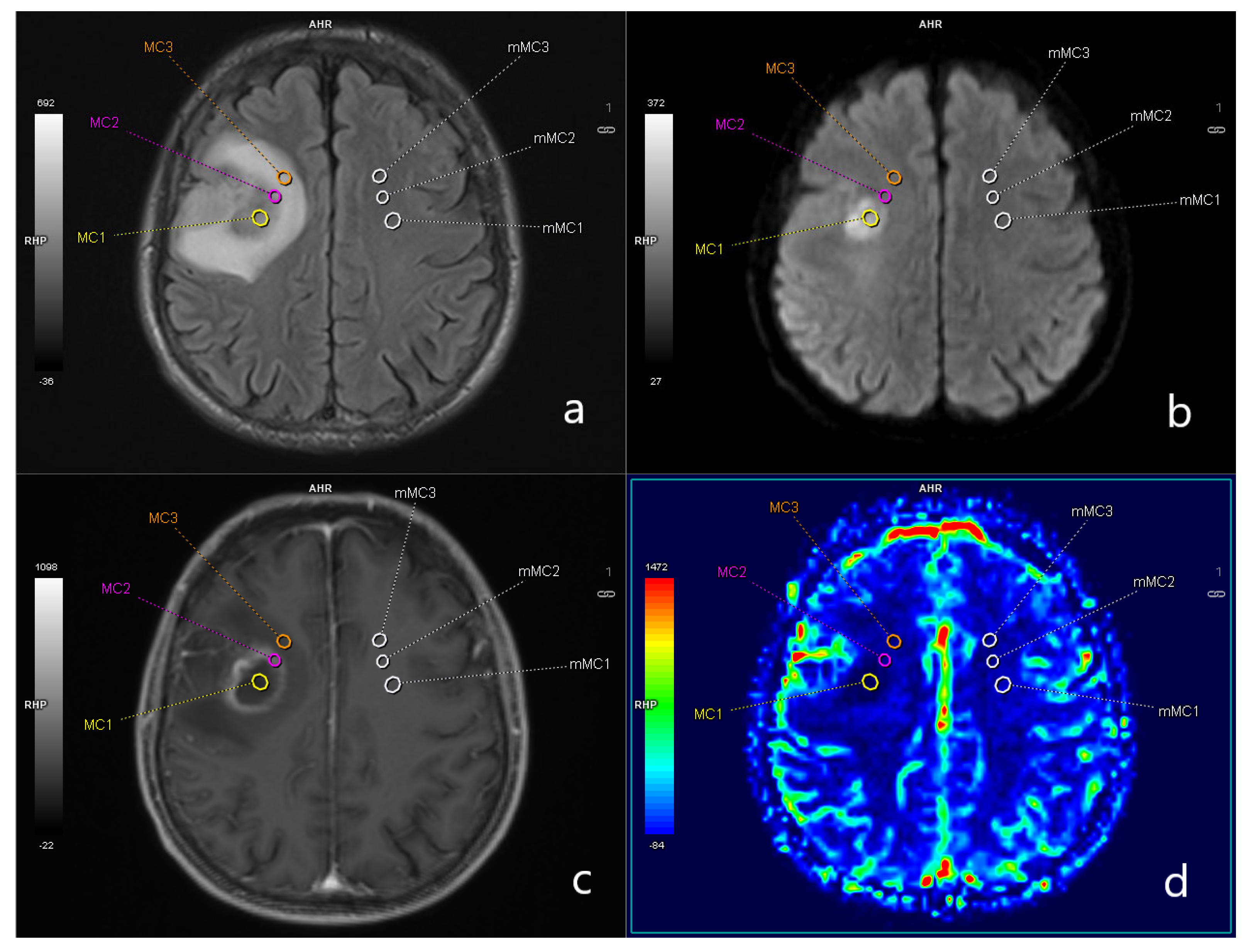 Diagnostics 13 03346 g002