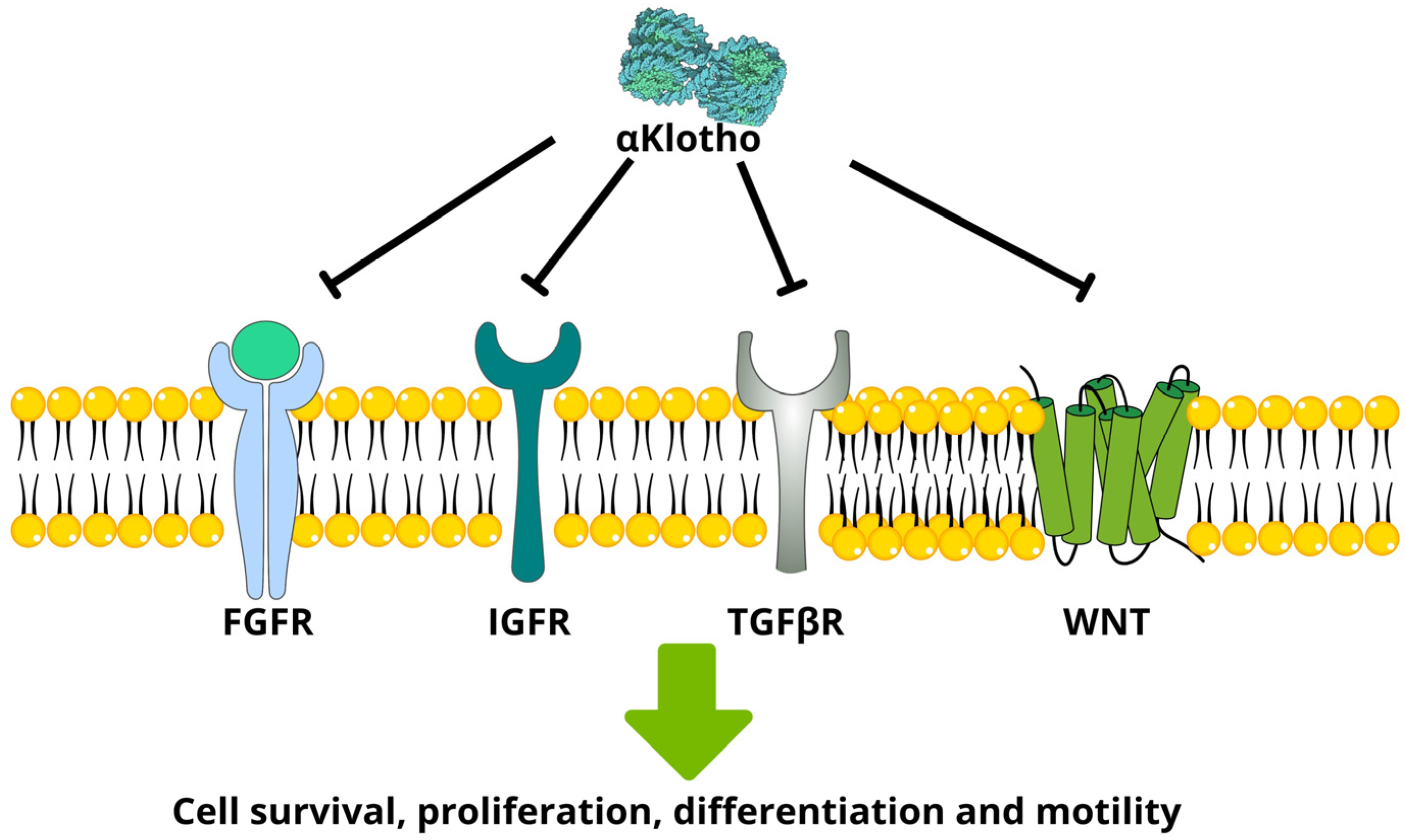 Diagnostics 13 03357 g001 Diagnostics 13 03357 g001